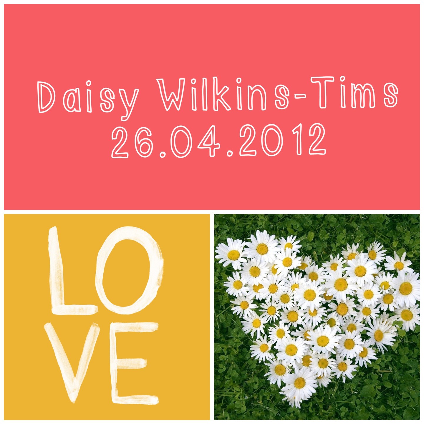 Happy 14th Birthday Daisy 🎉🎈🎁 enjoy your celebrations in the clouds. Thinking of your family today xxx #alwaysloved ❤️