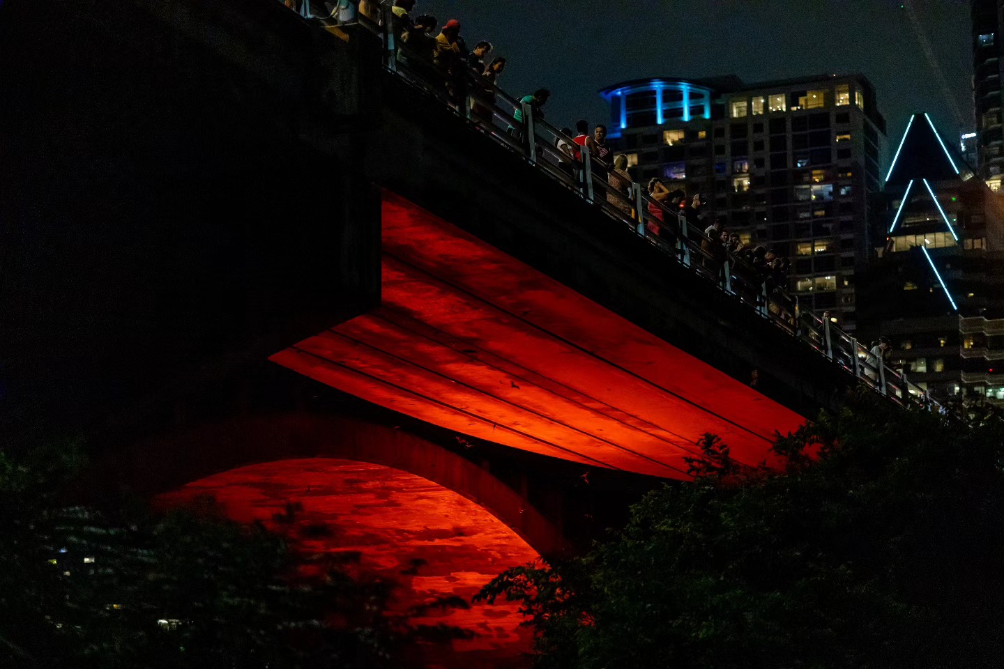 Recent shots from Austin, featuring bats!
#austin
#texas
#utaustin
#utexas
#congressave
#tx
#austinbats