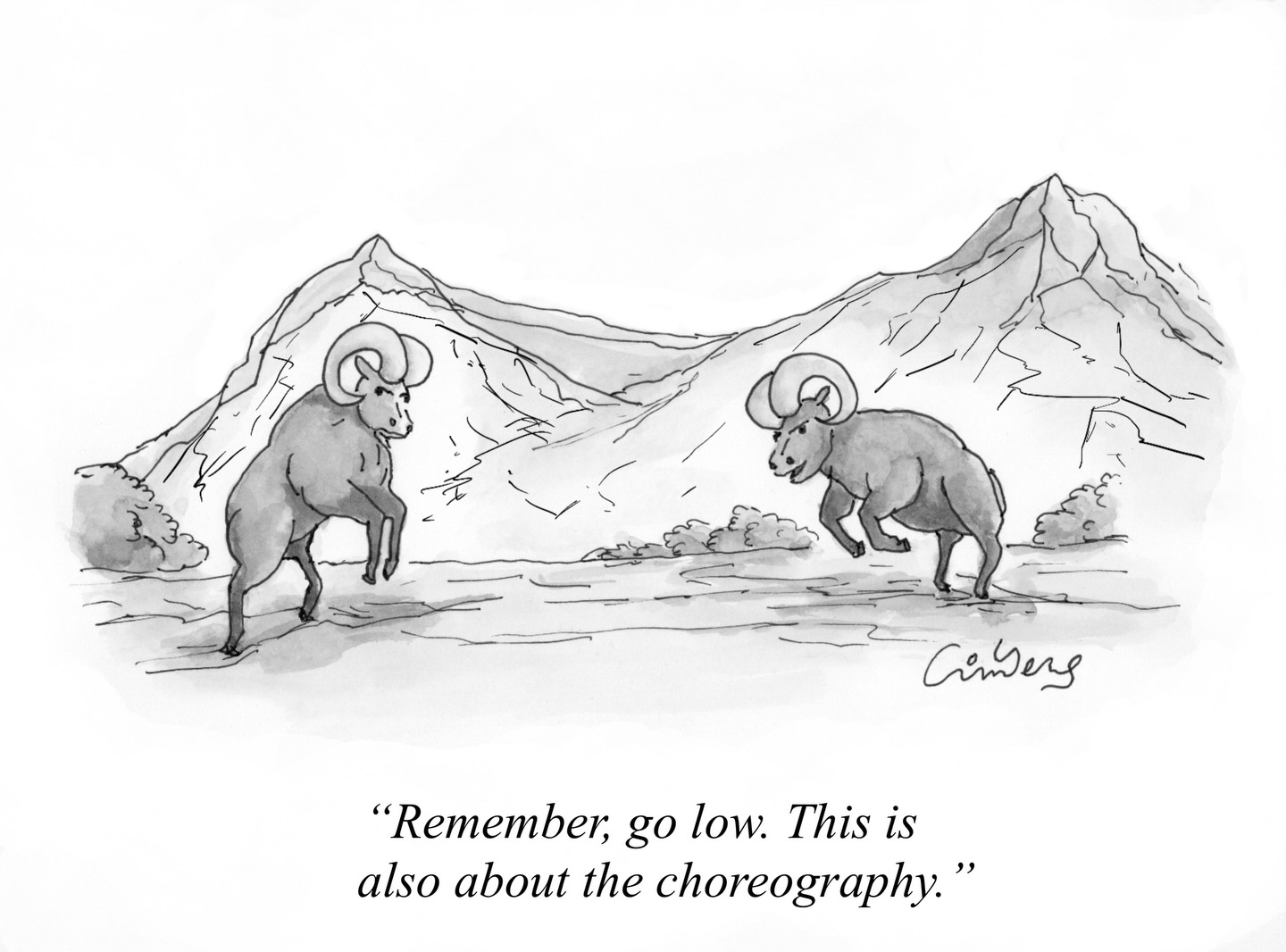 A TBT of some animal friends
#tbt #animals