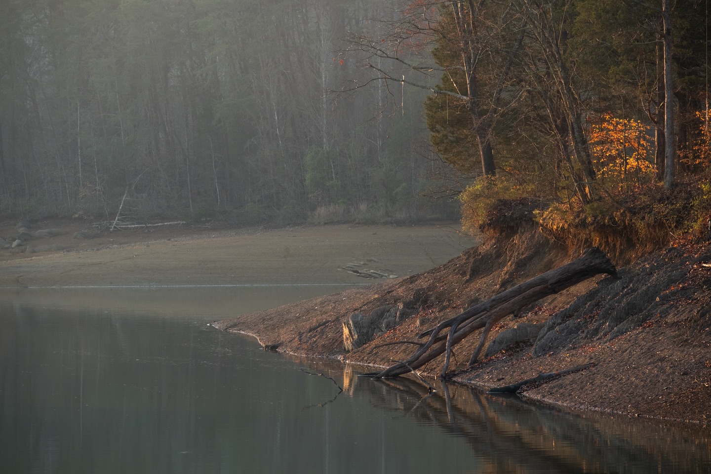 Yesterday’s morning at Cherokee Lake.
Camera: FujiFilm XT-5
Lens: FujiFilm 50-150 f2.8
Tripod: 3 Legged Thing
No filter
#fujifilmx_us #photography #cherokeelake #netn #lakes