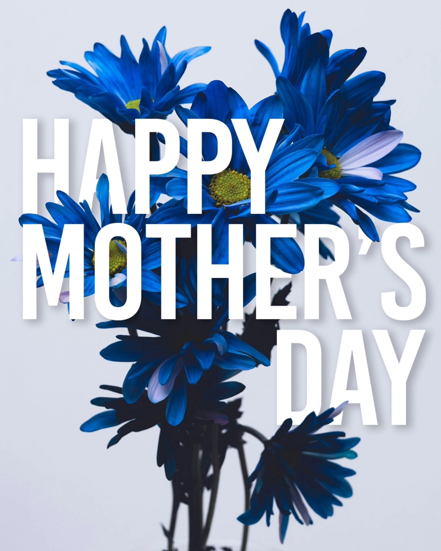 Happy Mother’s Day to all the amazing mums in our Bentstix family! 💐
A special shoutout to Kara, Laura, and Mitch, who not only shine on the field but bring their families into the heart of our club. Your passion and support help make our club what it is! 💙💚
#communityclub #prideinsports