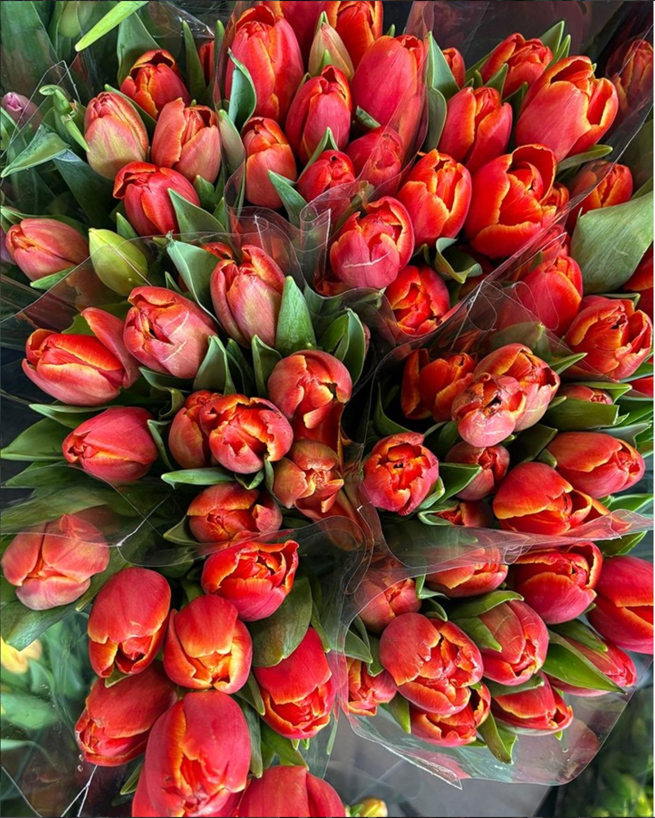 Spring called… we answered. 🌷
The first day of spring is finally here and the Market District is ready for it. Fresh air, local finds, good food, and plenty to wander through. Grab a coffee, take a stroll, and see what’s popping up around every corner.
Longer days, lighter jackets, and a good excuse to spend the day exploring. 🌱