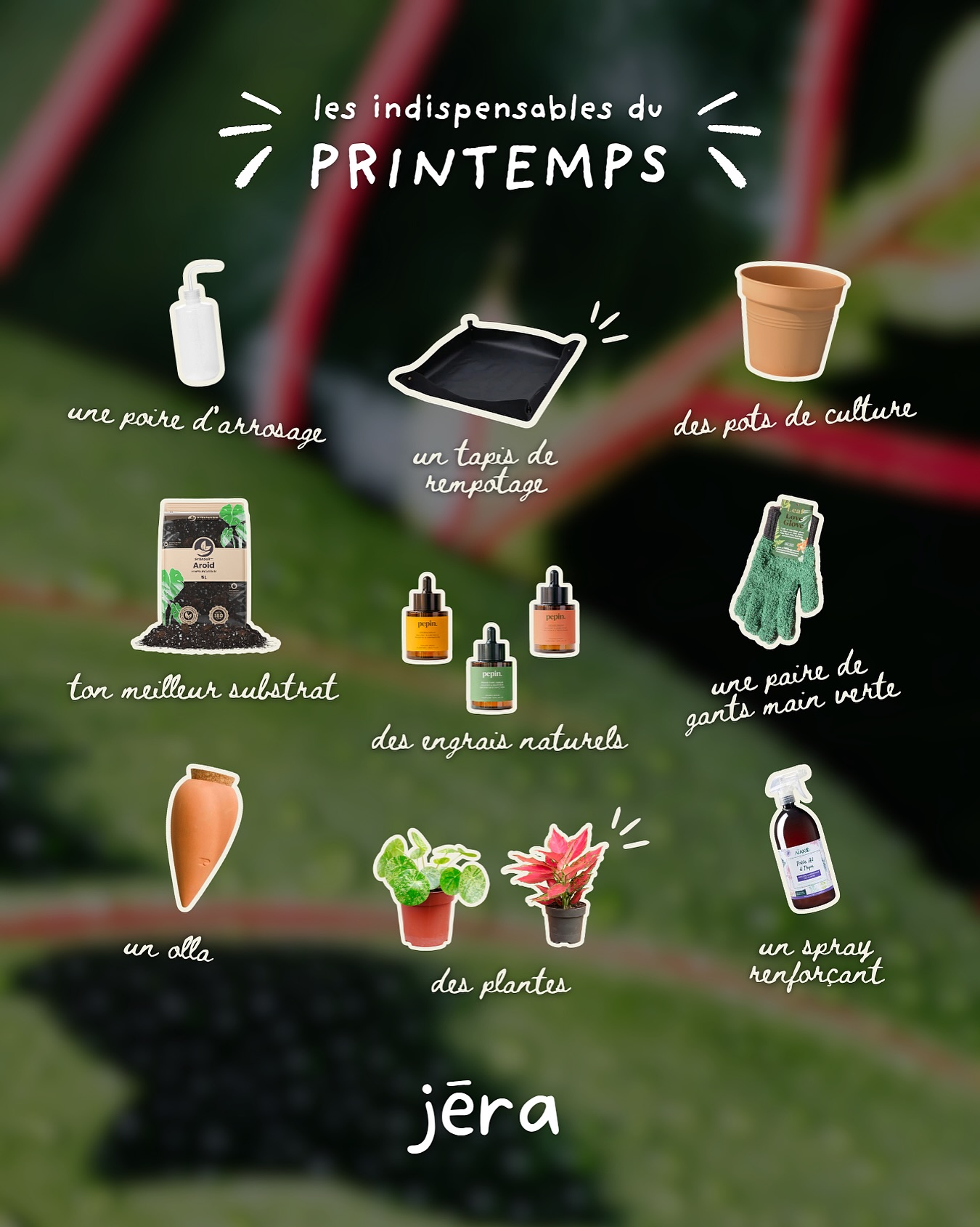 La reprise de croissance est lancée ✨
Le printemps est enfin là ☀️ Tes plantes sortent doucement de leur sommeil hivernal & elles vont avoir besoin d’un petit coup de pouce pour repartir de plus belle 😎
Pour les accompagner dans cette transition et transformer ton intérieur en véritable jungle urbaine, on t’a préparé LA sélection indispensable 👌🏼
Au programme :
🌱 Nutrition : un substrat frais & des nutriments pour faire le plein d’énergie
🌱 Protection : pour booster leur immunité & les rendre plus résistantes
🌱 Précision : des outils adaptés pour le rempotage, la taille & l’arrosage
Dis-nous en commentaire : quelle est LA plante qui te prépare une nouvelle feuille en ce moment ? ✨
Retrouve notre sélection complète pour des plantes en pleine santé en boutique & sur le e-shop ✌🏼
📍 Jēra, 51 avenue Jean Jaurès, Domont
👉🏼 www.jeraplantshop.com
#boutiquedeplantes #plantslovers #plantesrares #greenlovers #plantcaretips