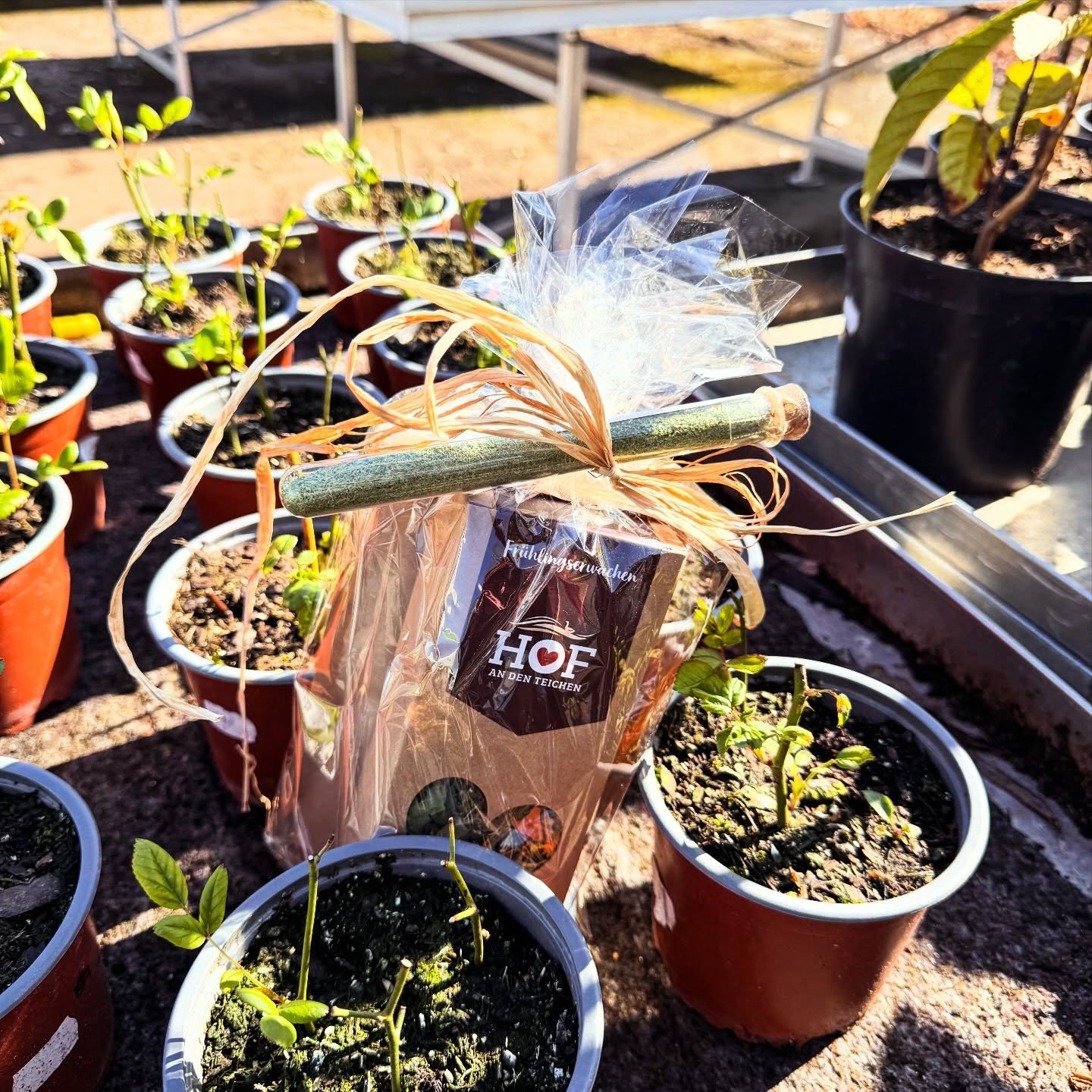 🐰💝Jetzt im Hofladen: kleine und größere Ostergeschenke, hübsch verpackt und für jeden Geschmack - die lassen sich gut verstecken, aber auch gut finden! Mittwoch bis Sonntag von 12-17 Uhr geöffnet!