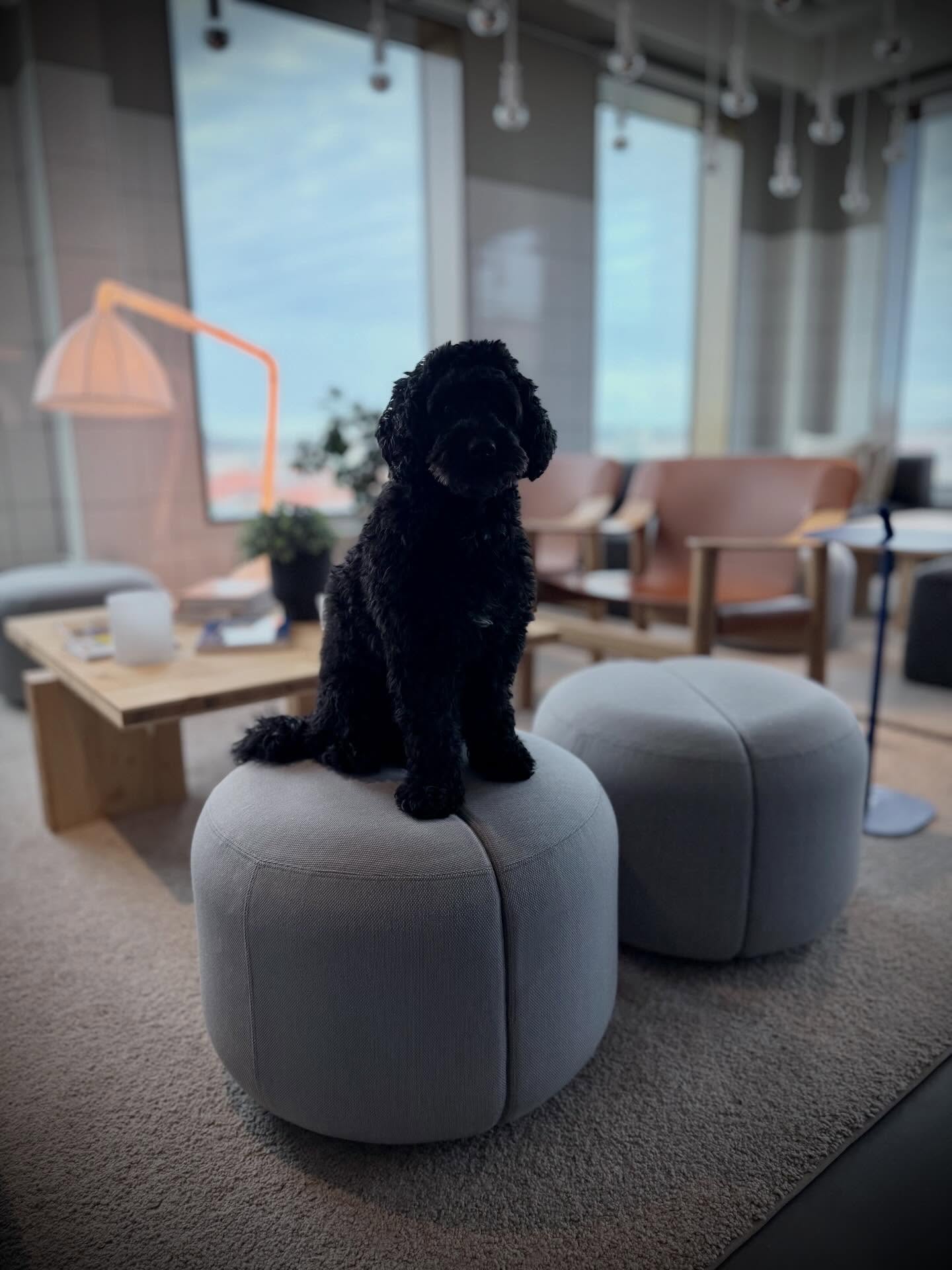 Friday at SiNIX 💙
Some work. Some laughs.
Mostly good people doing great things.
#sinixgroup