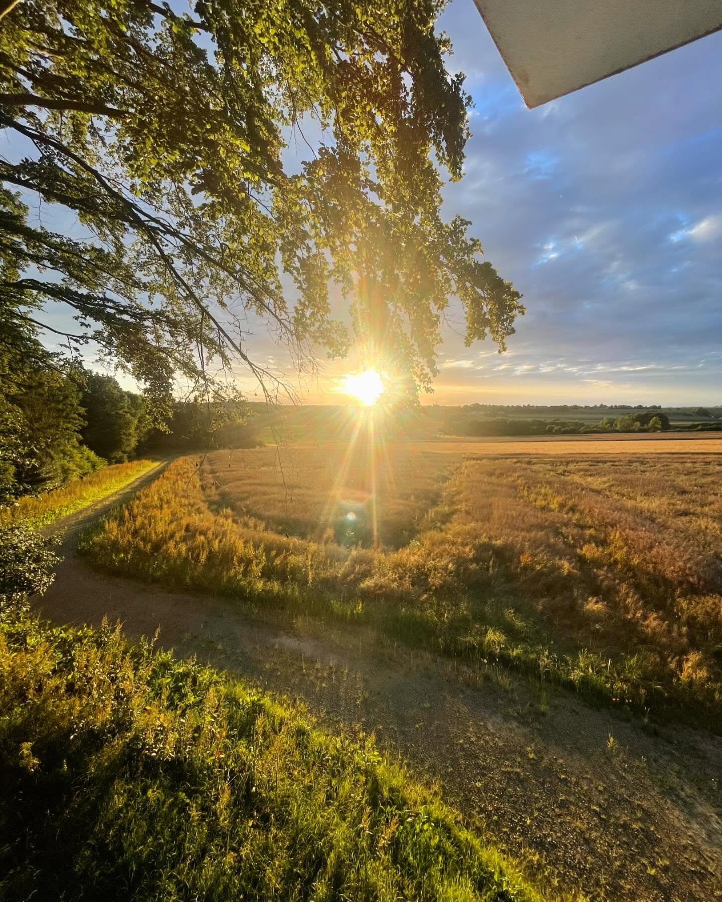 Hallo und Waidmannsheil🍀
hier einmal mehr ein paar Eindrücke aus dem Revier. Dieses Mal lag der Fokus auf den Revierarbeiten und der Vorbereitung der Bewegungsjagden.
Da es jagdlich aktuell aufgrund des Raps, Weizen und hochkommenden Mais 🌽und auch der bevorstehenden Blattzeit eher ruhig war im Revier. Bzw. das sonst sichtbare Wild nicht so aktiv gezeigt hat wie sonst.
Auch die Kirrungen waren nicht so angenommen, was allerdings aktuell zumindest bei uns trotz viel Ruhe nicht unüblich ist bei dem sonstigen Äsungsangebot.
Neben viel Arbeit gab es auch tolle Sonnenauf und Untergänge.☀️
Leider gab es auch etwas unerfreuliches. Eine 5 Std. Nachsuche auf einen Frischling blieb trotz viel Schweiß und Feist ohne Erfolg. Vielen Dank noch einmal an das Nachsuche Gespann. 2 HS und ein DD.🐕
#waidmannsheil #rotwild #rotwildjagd #jäger #jägerleben #natur #wild #schalenwild #jagdmomente #wildfleisch #jagdistartenschutz #forest #waidmannsdank #huntinglife
#naturephotography #natur #outside #qualitytime #wildboar #revier #forestphotography #wald #jagd #passion #waldundwild #jakt #jagdistleidenschaft #nachsuche