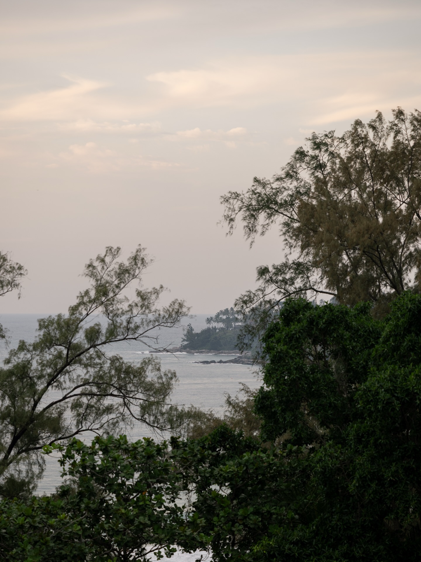 Nature, in its quietest form.
#bluesiam #bluesiamvillas #surinbeach #phuket #thailand