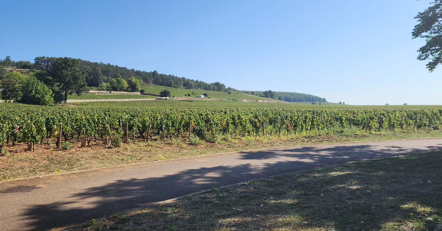 Day 18, More time in Beaune... well just out of it, but close enough, this time checking out some wineries, one of which is at a Chateau filled with Planes, Space ship models, Bikes, Fire Trucks and Cars.