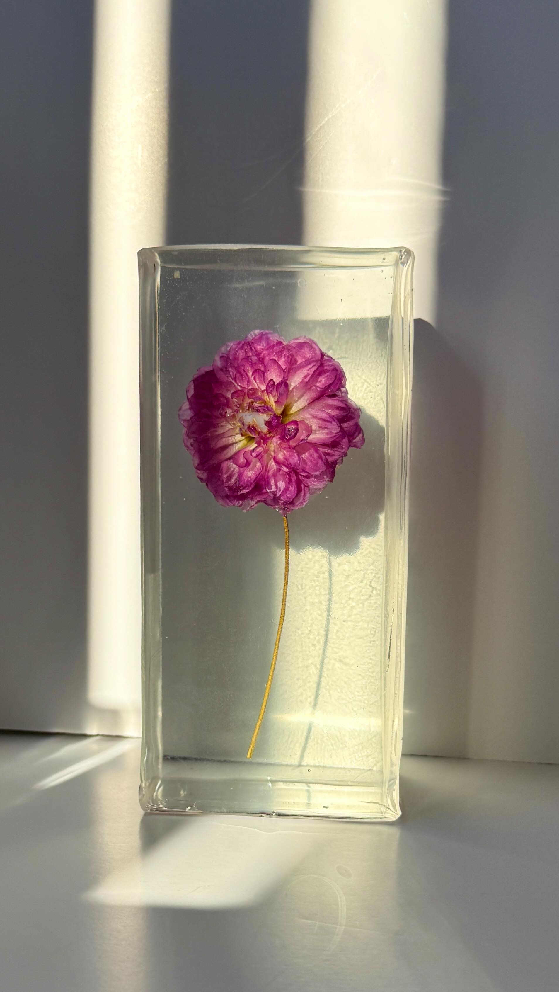 There’s something really special about holding onto a moment like this 🌸
A single bloom, preserved just as it was, soft, delicate, and full of meaning. Not just a flower, but a memory you can come back to whenever you need it.
This is your sign- if you are getting married soon or have a special flower to preserve! Reach out today 💌