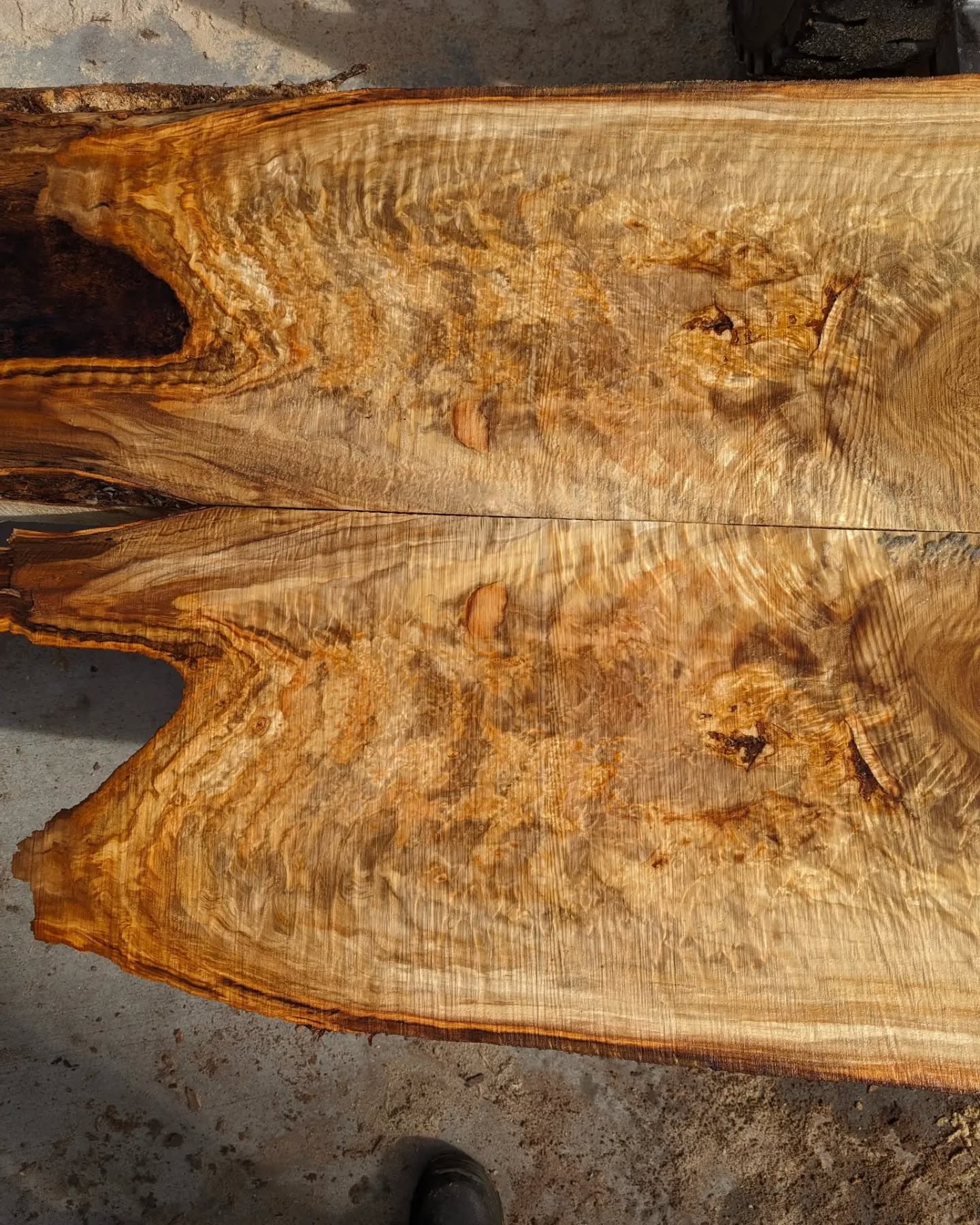 I got through a couple of great cottonwoods yesterday. Lots of random shapes and sizes to get squared up, but found some 🔥 along the way. Swipe for wood porn.
.
.
.
#denverwoodslabs #woodcarving #woodporn #cottonwood #figure #woodgrain #mothernature