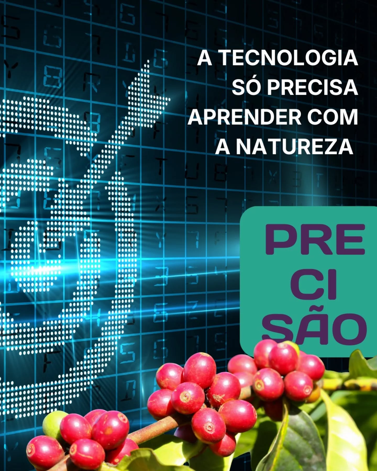 Precisão não nasce da máquina.
Precisão nasce da própria vida.
Ao estudar o ciclo reprodutivo dos crisopídeos, encontramos padrões que podem ser replicados, otimizados e automatizados.
A tecnologia só precisa aprender com eles.
#sábio #precisão #tecnologia #controlebiologico #predativa