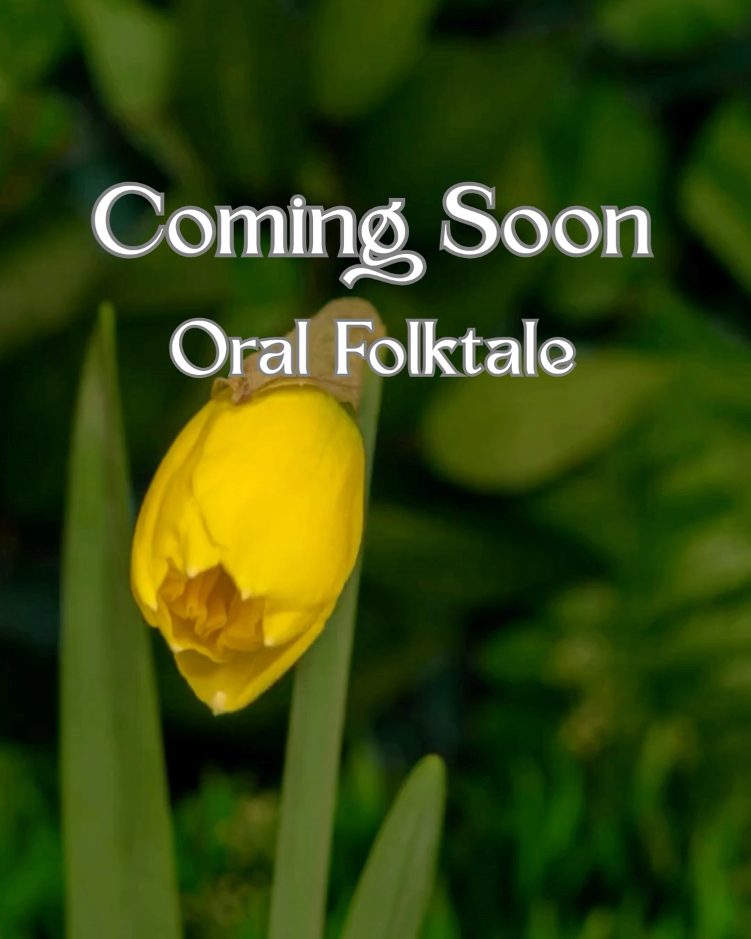 Coming Soon – Oral Storytelling: The Legend of the Daffodil
When a father leaves his land to his two sons, the divide is far from equal. One walks away with rich, fertile ground… the other with a place few would choose.
But the land has its own wisdom.
A quiet gift is given. Something small. Something easily overlooked. And from it, a story begins to unfold—one of patience, envy, and the delicate balance between human desire and the natural world.
This ancient tale carries a gentle reminder: that not all things can be forced to grow, and that true success often comes from understanding where we stand.
Told aloud, as all true stories should be. Coming soon.
#LegendOfTheDaffodil #OralStorytelling #NatureFolklore #DannyEnglishStories #storyteller