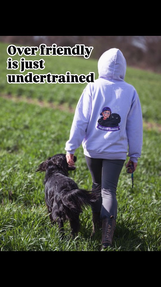 Most people think a “good dog” is friendly with everyone.
A trained dog?
Walks past without needing to engage.
Neutrality is freedom.
Monty was a dog who would pull to everyone, plant, jump and bark now with the training and boundaries he is the best boy, no guidance needed.
Struggle with this? Drop me a message
Photo @lucylesterphotography
#dogtraining #puppytraining #realworldtraining #balancedtraining #traineddog