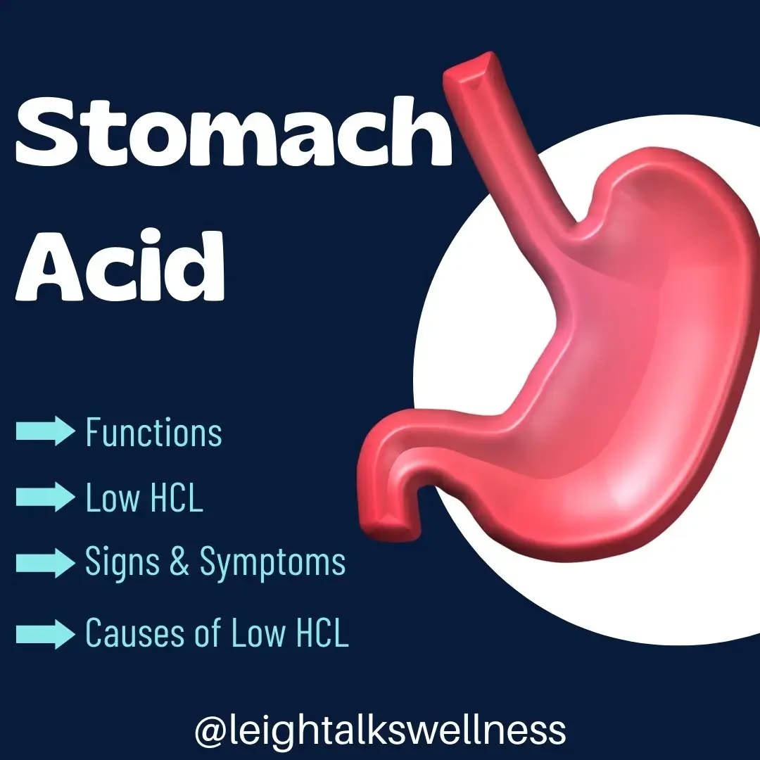 UNDERSTANDING THE IMPORTANCE OF STOMACH ACID
Stomach acid plays a major a role in digestion;
▪️Low PH 1 to 2.5 to help breakdown foods into smaller particles
▪️Kills pathogens and microbes that can be harmful to the body
▪️Activates pepsin for protein breakdown
▪️Activates intrinsic factor to help B12 absorption
▪️ionization of minerals for better absorption
▪️stimulates further digestive secretions
Without adequate amounts of stomach acid, these functions are compromised causing many digestive issues, which can result in other major health conditions.
#guthealthiseverything
#gutmicrobiome
#guthealth
#guthealthmatters
#holisticwellness #holistichealth #holistichealthpractitioner #holistichealing #healthychoices #healthyliving #healnow #healwithin #healtheguthealthebody #healthiswealth #healthyhabits #healthtips