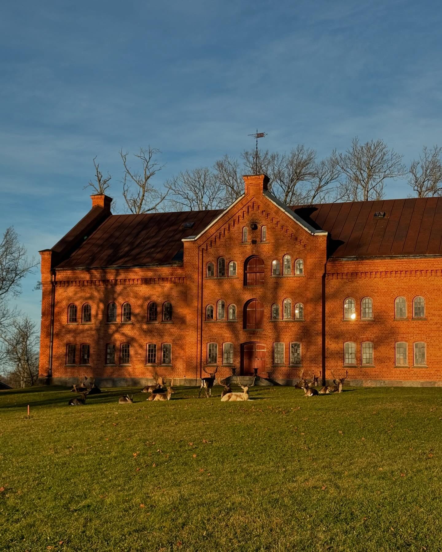 På en liten höjd, inbäddad i den vackra östgötska naturen tronar Magasinet, gediget byggd 1884. Lokalen består av tre våningsplan där man själv väljer hur man vill disponera ytorna. Här kan upp till 150 gäster njuta av den rustika elegansen i en annorlunda och historisk miljö! En plats för livets alla olika firanden och höjdpunkter! 🎉🥂🤍