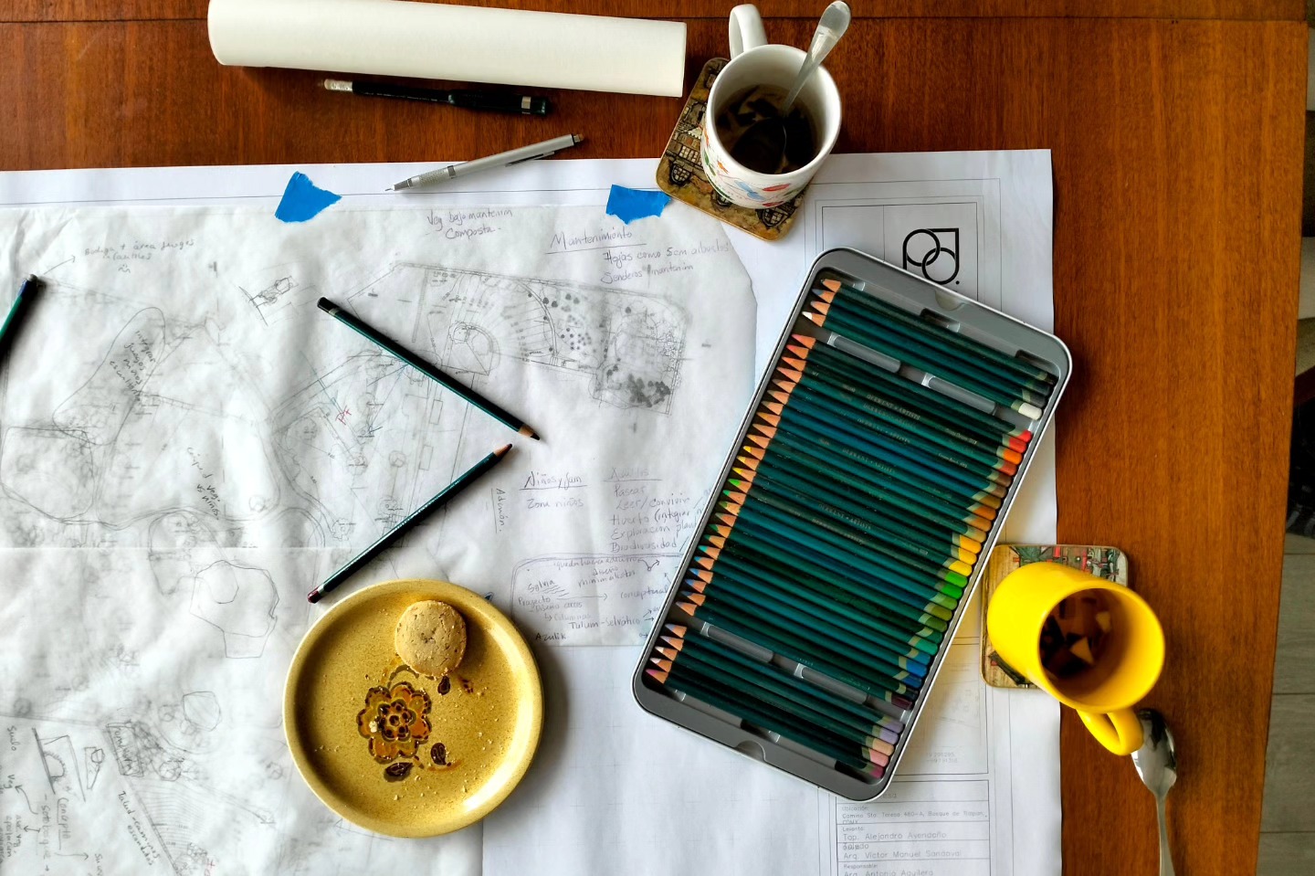 Estamos empezando a trabajar en un nuevo proyecto en el cual queremos introducir un ambiente de sotobosque para que los paseos en el jardín realmente se sientan como estar en un bosque. :)
Colaboración con @lalonsol
¡Gracias @osmo_mx por el levantamiento topográfico!
.
.
.
#landarch #landscapedesign #gardendesign #arquitecturadepaisaje