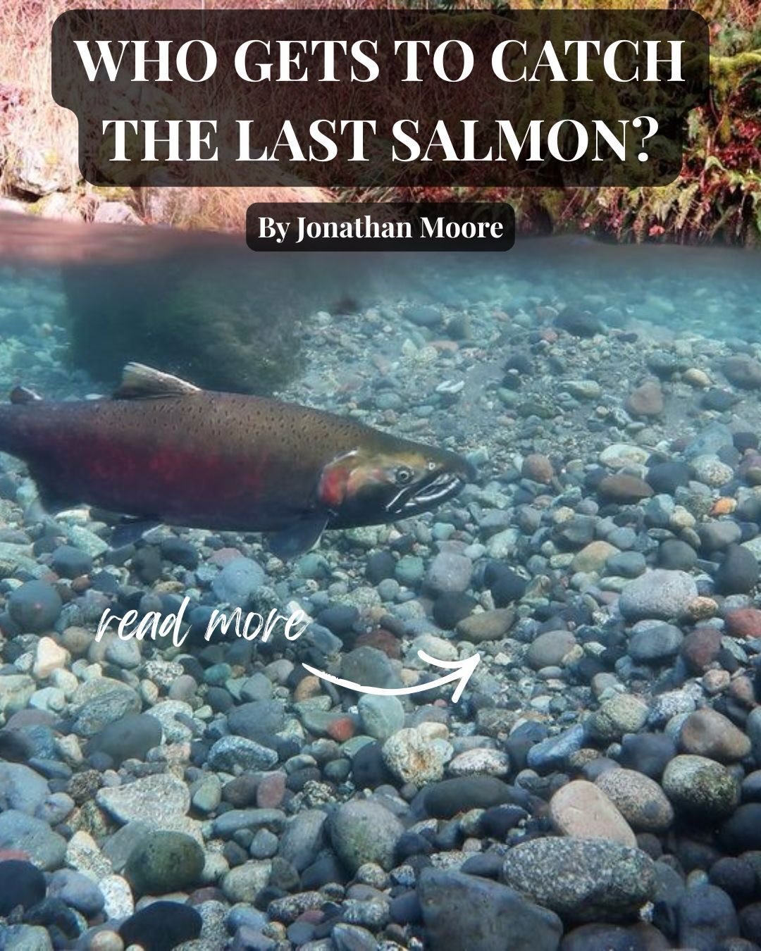 HINT: IT’S A TRICK QUESTION! Let’s try to avoid having to ask that question.
Jon just published an op-ed in the Vancouver Sun and we think it’s pretty great! Read at the Vancouver Sun or at the link in our bio.