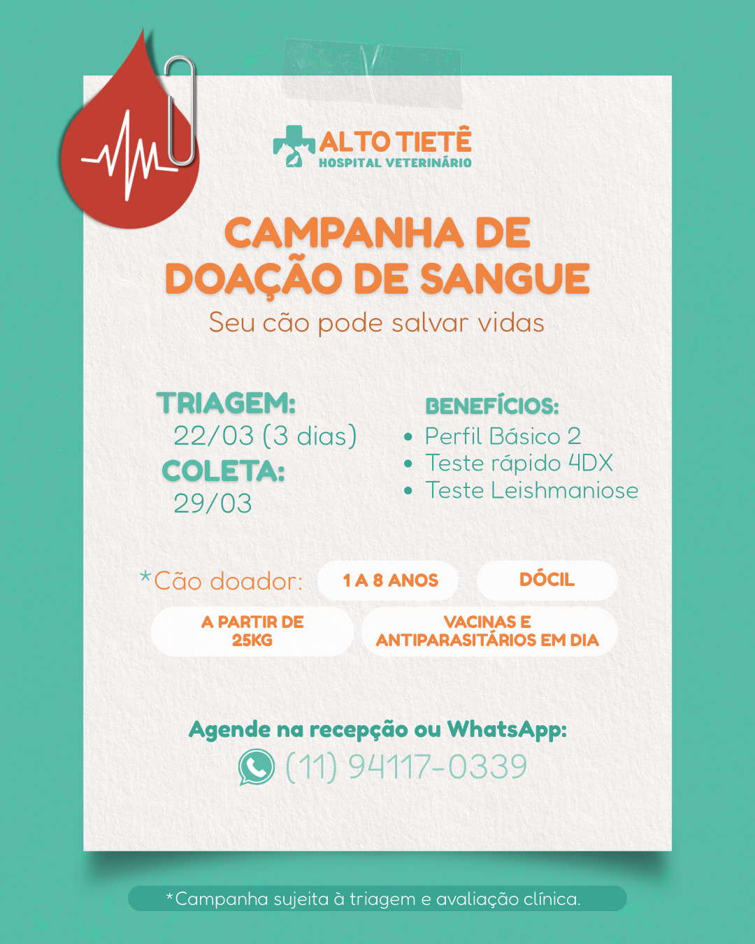Campanha de Doação de Sangue HVAT (cães)
Triagem: 22/03 (3 dias)
Coleta: 29/03
A doação de sangue é essencial em casos de acidentes, cirurgias, anemias e doenças graves. Um gesto pode ajudar mais de um paciente.
Na triagem, seu cão recebe:
Perfil Básico 2 (exames)
Teste rápido 4DX e Leishmaniose
Avaliação clínica
Pré-requisitos para cão doador:
Dócil
1 a 8 anos
A partir de 25 kg
Vacinas e antiparasitários em dia
Agende sua triagem na recepção ou pelo WhatsApp: (11) 94117-0339
Campanha sujeita à triagem e avaliação clínica.
#doacaodesangue #bancodesangueveterinario #hospitalveterinario #saudepet #arujasp