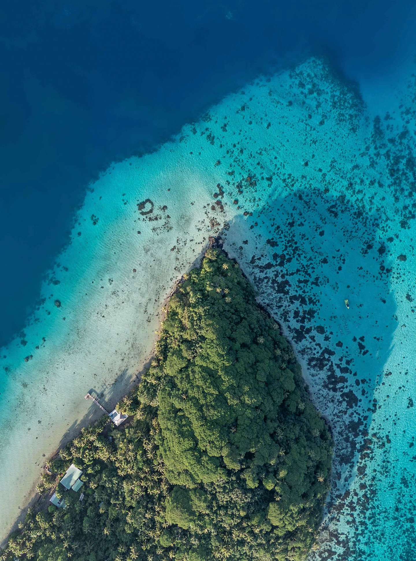 Vista desde el cielo, las islas de la Polinesia Francesa se revelan como una auténtica obra de arte. Tonos de turquesa, arena y roca se entrelazan en composiciones creadas únicamente por la naturaleza.
.
From above, the islands of French Polynesia reveal themselves as a true work of art. Shades of turquoise, sand, and stone intertwine in patterns crafted solely by nature.
📷 @dmonmond
#MoemoeaTravel#FrenchPolynesia #PolinesiaFrancesa #IslandArt #LagoonLife #LuxuryTravel #NatureElegance #RefinedEscape #LoveTahiti