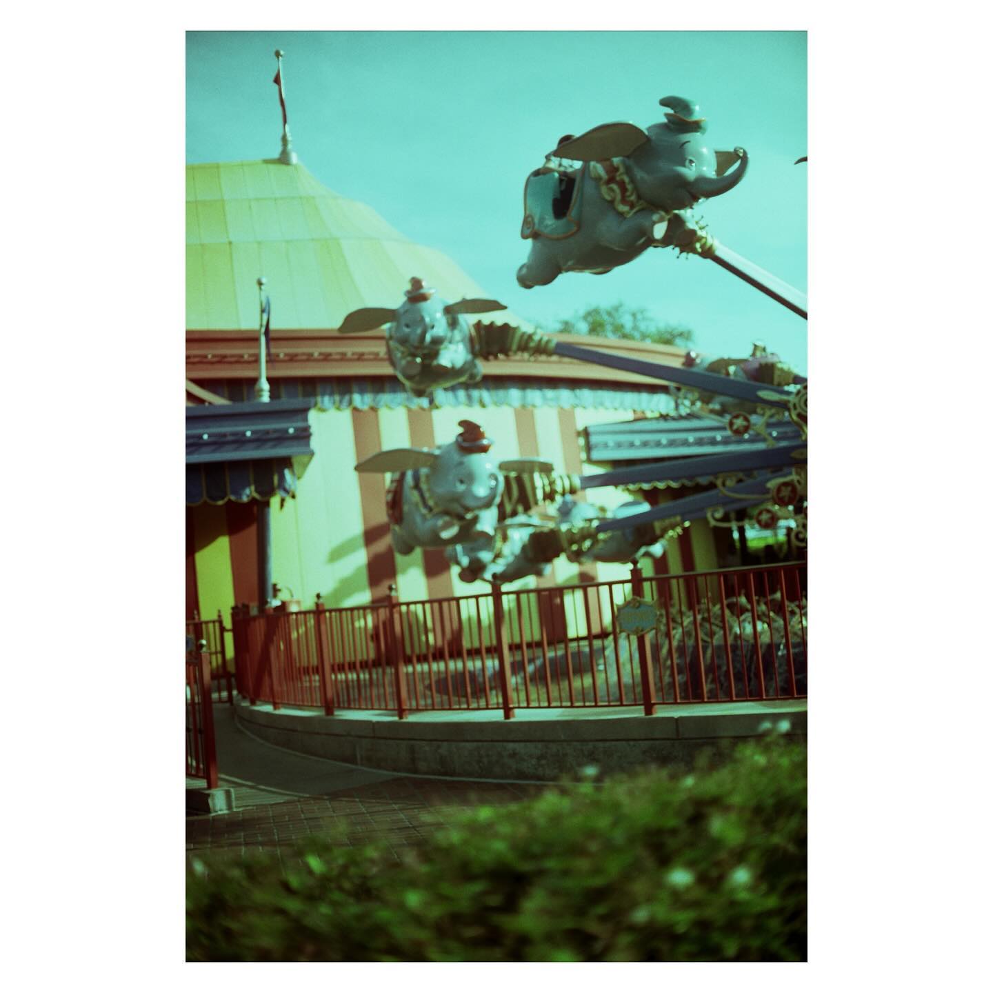 MK
📷: canon ae-1 / cinestill 400D
#ae1 #35mm #canon #canonae1 #cinestill400D #cinestill #cinestillfilm