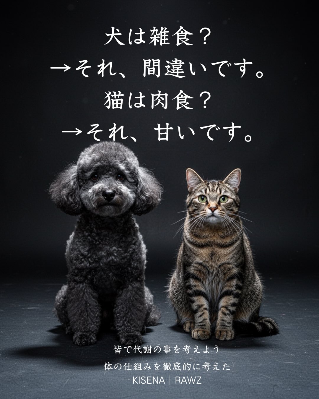 「犬は雑食」
この前提、本当に正しいですか?
多くの人がそう信じています。
しかし、体の構造と代謝を見ると結論は変わります。
犬は
→ 炭水化物に依存しない代謝を持つ
→ エネルギーの主軸は脂質とタンパク質
猫はさらに明確で
→ 炭水化物を前提としない完全な肉食動物
ではなぜ今、
穀物中心のフードが主流なのか?
・製造上の合理性
・コスト構造
・“自然”の一部だけを切り取った解釈
これらが重なり
現在の「常識」が作られています。
重要なのは
“食べられるか”ではなく
“何に依存しているか”
あなたの犬と猫は
本来どの設計で動いていますか?
#犬の栄養学
#猫の栄養学
#ドッグフード選び
#