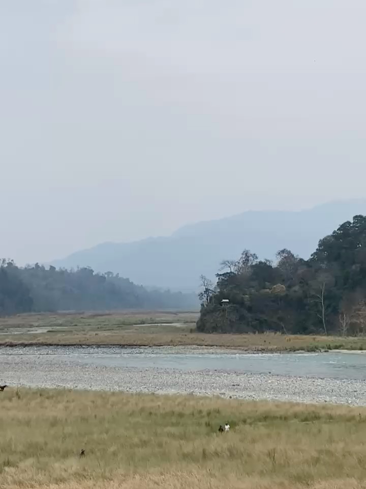 Namdapha (Origin of Water), Changlang, Arunachal.
Start of a river that goes to the mighty Bramhaputra.
No crowds. No other sounds. No religion markers. Just pure nature, from the start of time. Therefore, pious, divine for me 🙏🏾.