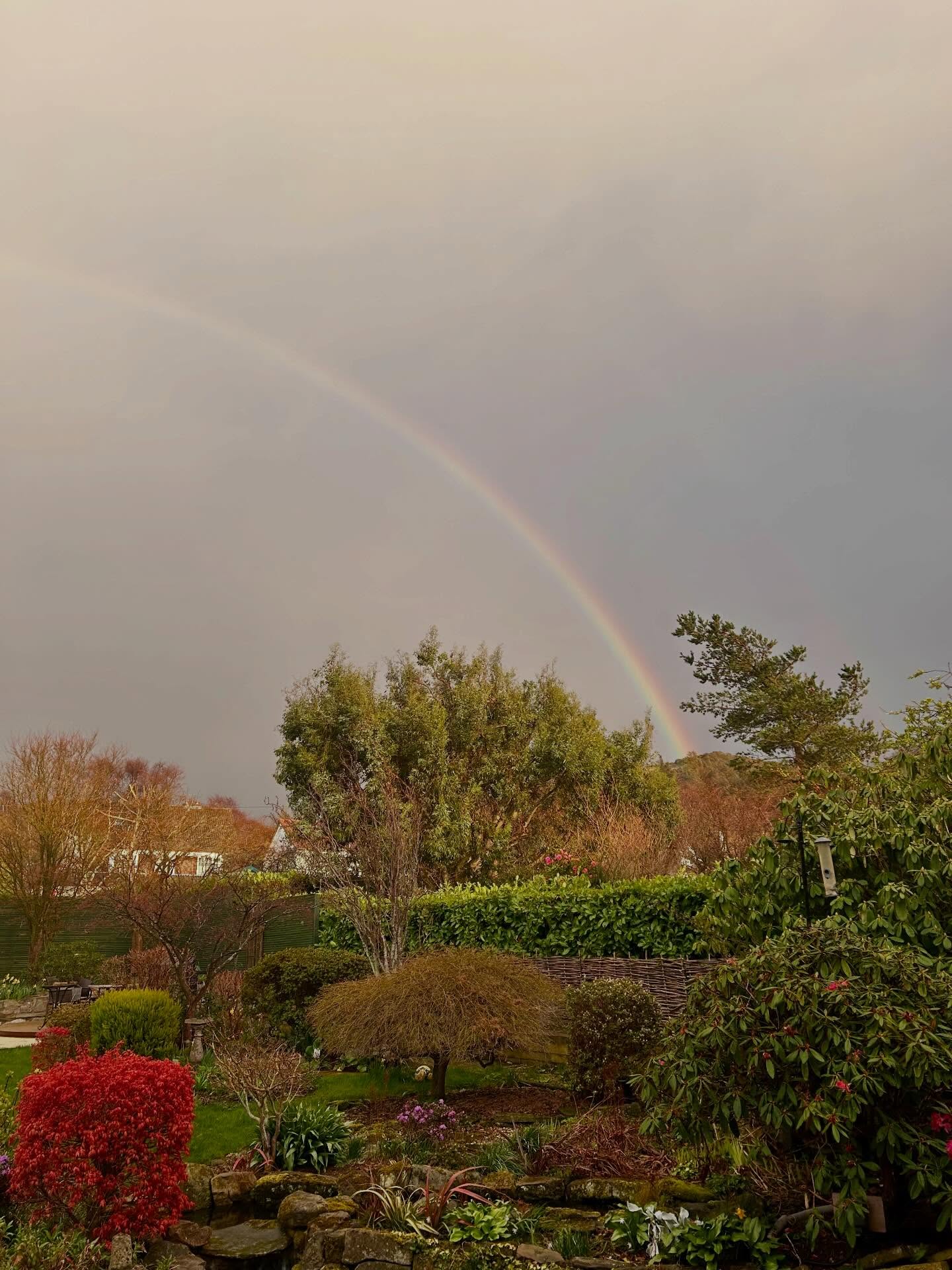 Rainbows are nature’s way of telling you everything is going to be alright.
#forestbathing🌲🌲🌲 #rainbow #natureheals #fortheloveoftrees #forestbathing