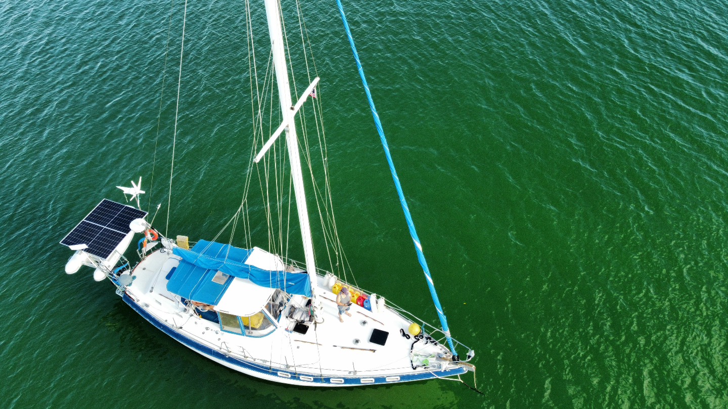 So, for all the rough days we encounter while living on our boat, we get mornings like this to remind us of the peacefulness and happiness it can bring. This morning, we woke to small sailboats heading to a start line for a Regatta right by our boat and a huge pod of dolphins this morning. We have sat in the cockpit for a couple of hours just watching it all. Great start to a Saturday on the boat! Pirate Time Sailing Adventures
#liveaboard #livingthedream #sailboat #regatta #dolphins #liveaboardlife #RegattaLife #anchorlife #boatlife #dolphinwatching #regattasailing #liveaboardlife #atanchor