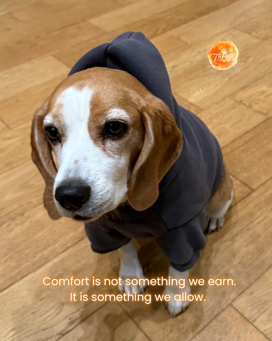 Today, Lilo reminds us…All dressed up in her Comfrt Hoodie
Comfort is not something we earn.
It is something we allow. 🐾
Happy Friday from Hemla and Lilo at 7 Rays.
📸 Photo by Hemla
#reawakenthepower
@comfrt Lilo loves her hoodie!
#colortherapy #familyconstellations #CrystalHealing #EnergyWork #Intuition #Productivity #SpiritualGrowth
#ColorTherapy #SelfExpression #ChakraHealing #7rays #comfrthoodies