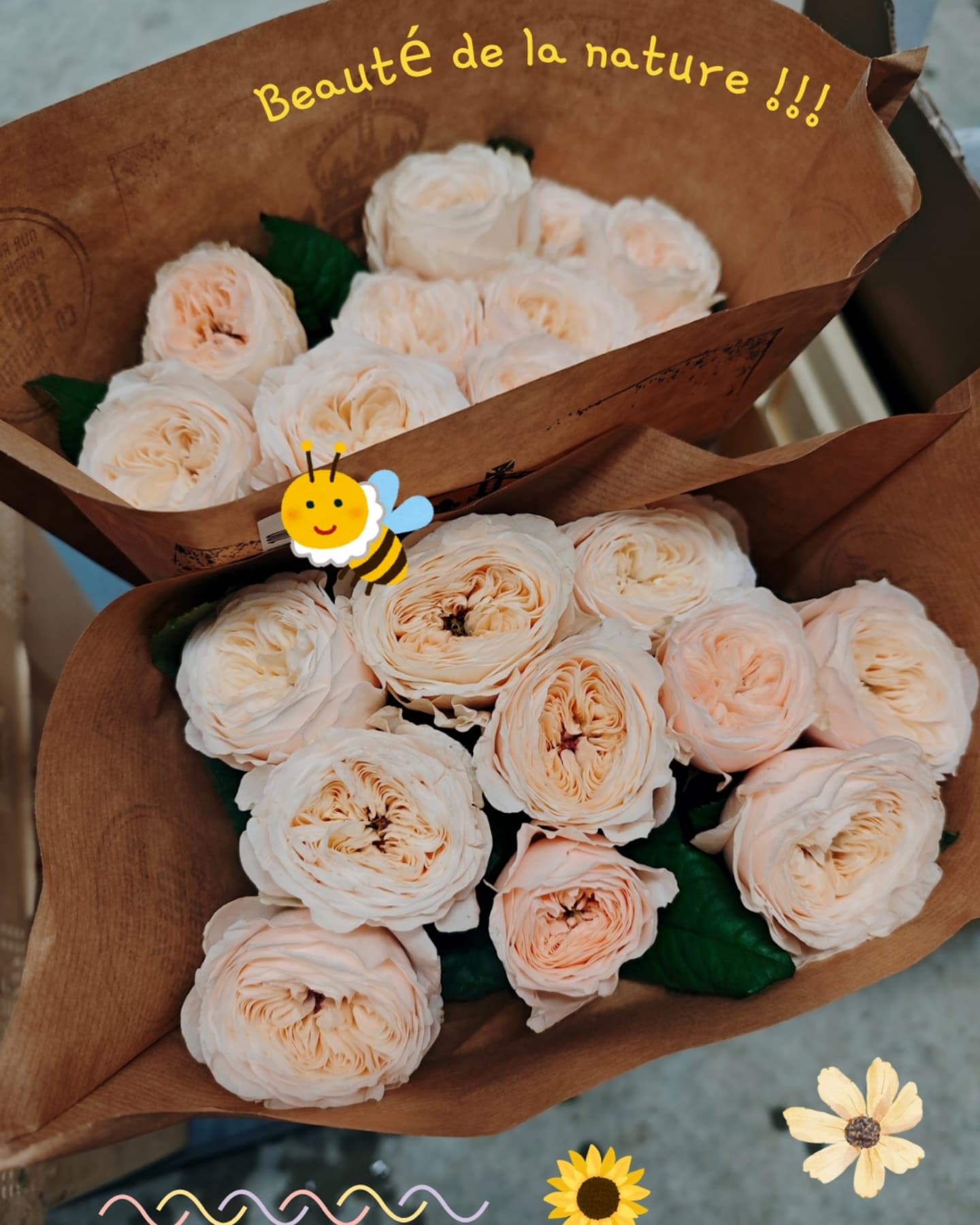 Merci la nature pour ces MERVEILLES ! 😍🌸💐🌞💖
Des commandes en fleurs fraîches à venir…
Mon amour pour les fleurs est toujours aussi fort, et j’ai déjà hâte de créer 🌿✨
#fleuriste#fleuristepassionnee#fleurs#inspiration#fleuristesuisse#suisse#suisseromande#vaud#