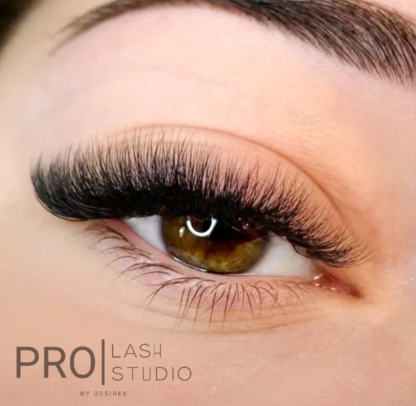 Mehr Volumen | Mehr Du | Extra leicht 🫠🌼
𝗕𝗢𝗢𝗞 𝘆𝗼𝘂𝗿 𝗢𝗡𝗟𝗜𝗡𝗘 𝗮𝗽𝗽𝗼𝗶𝗻𝘁𝗺𝗲𝗻𝘁 ⬇️
www.prolashstudiothun.com
∙
∙
∙
∙
✆ Infos & Anfrage: WhatsApp +41 79 287 91 93, DM oder maile uns unter prolashstudiothun@gmail.com
#lashextensions #frühlingwimpern #wimpernverlängerung #lasheslasheslashes #berneroberland