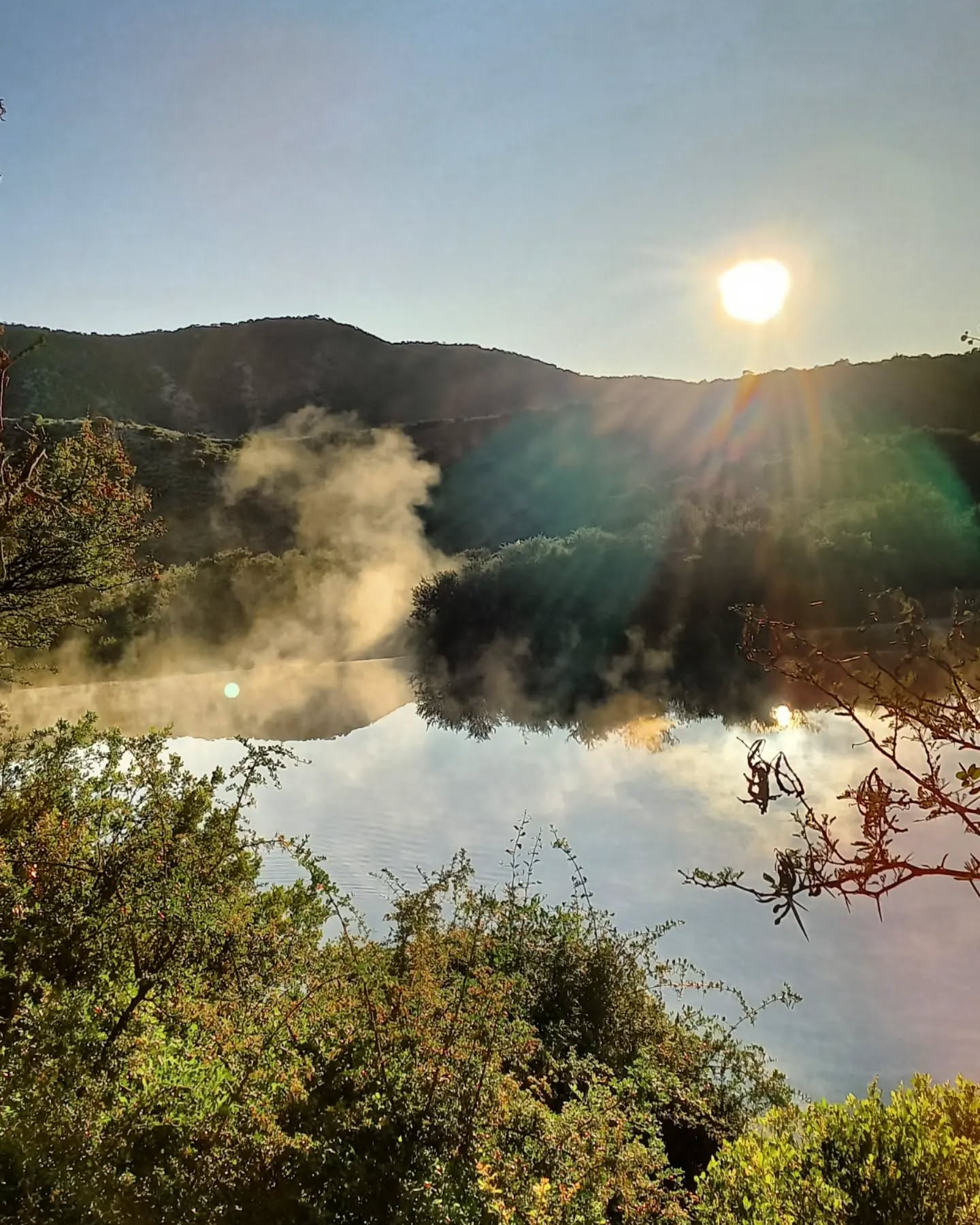 Cold Winter Mornings at Natures Voice
#naturephotography #lodge #winterwonderland #nature #southafrica #accommodation #naturesbeauty