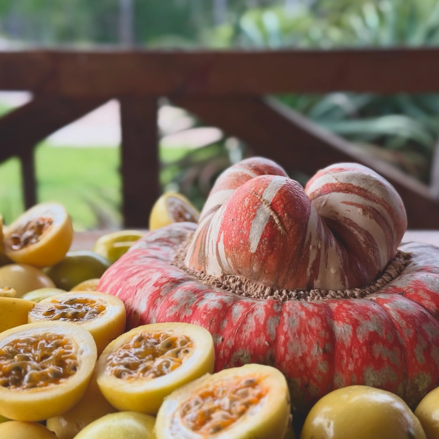 Guavadillas, preserves, free range lamb, odds, ends and a wee non venomous Common Slug-Eater - what a sweeety 😊❤️
#whynot #growyourownveggies #organic #nopesticides #lunarcalendar #plettitsafeeling #permaculture #southafrica