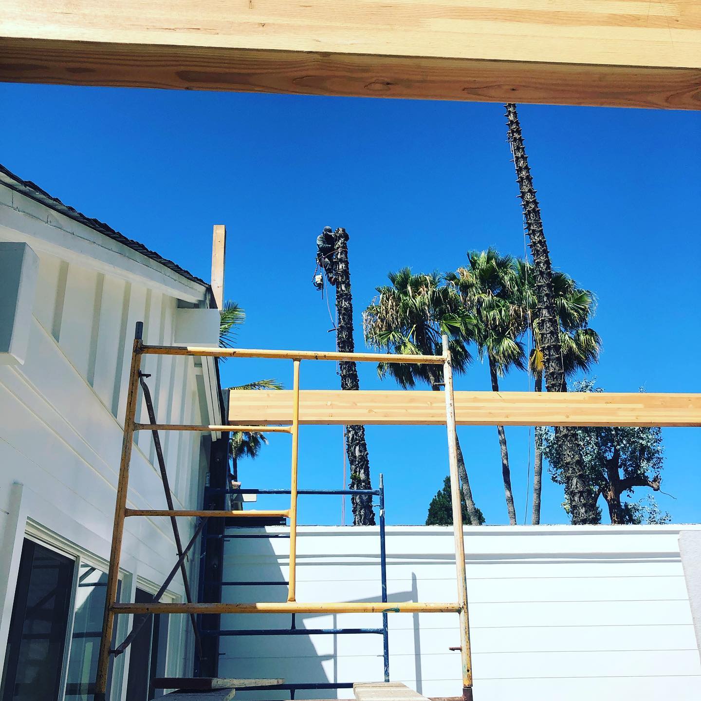 Roof going up, plants going down (to the ground). 👌🏻👷🏼♂️🌱#oclandscape #irvinehomes #oclandscaper #ocremodel