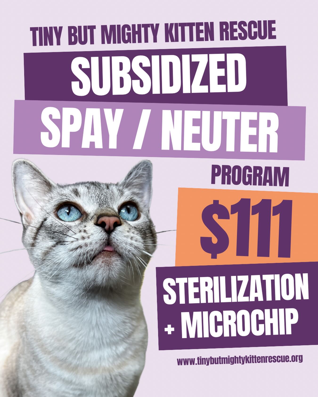 Applications are now open for our subsidized spay/neuter program! 🎉
$111 per cat - covers spay/neuter + microchip.
Open to Cornwall and SDG residents.
Spots are limited but we’ll open more as funding allows.
This program has been a long time coming and it’s only possible because of our supporters and their donations! 💜
We’re looking forward to sterilizing as many cats as possible to help lower the cat crisis!
Be sure you’re following our page for updates and check out @lottoforcatsontario for upcoming raffles. Win prizes, save lives! 😻🎟️
Apply here: www.tinybutmightykittenrescue.org/subsidized-spay-neuter