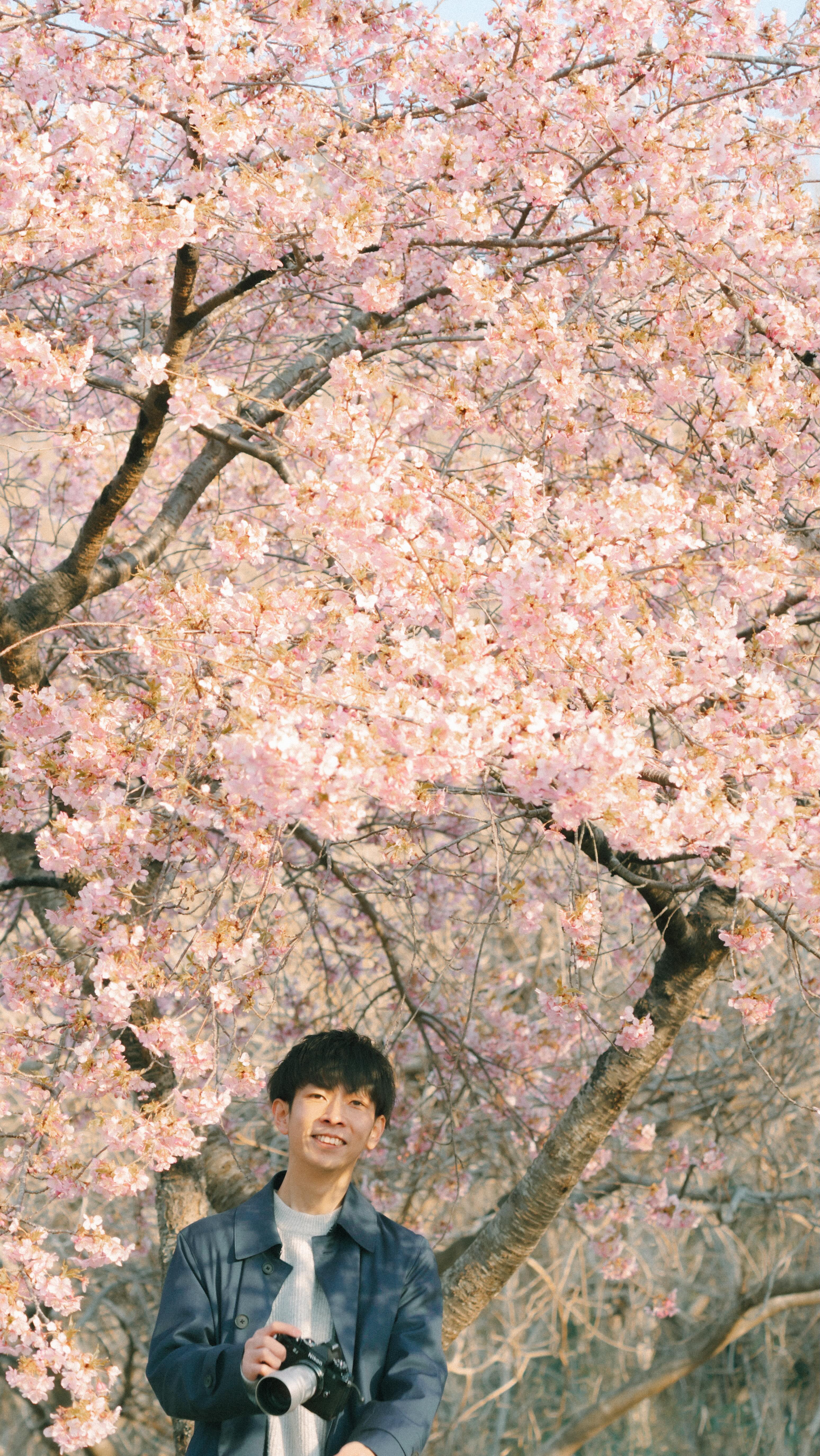 ずっとカメラをぶら下げて握りしめてみてきた
今年初めての桜は浅野くんの一声
あっきーさん
相馬なら見れると思います
行きましょう
仕事の手はぴたりと止まり
微かなボリュームで
頭の中を春風が吹く
そうしてできたのは
名付けて「3分物語」