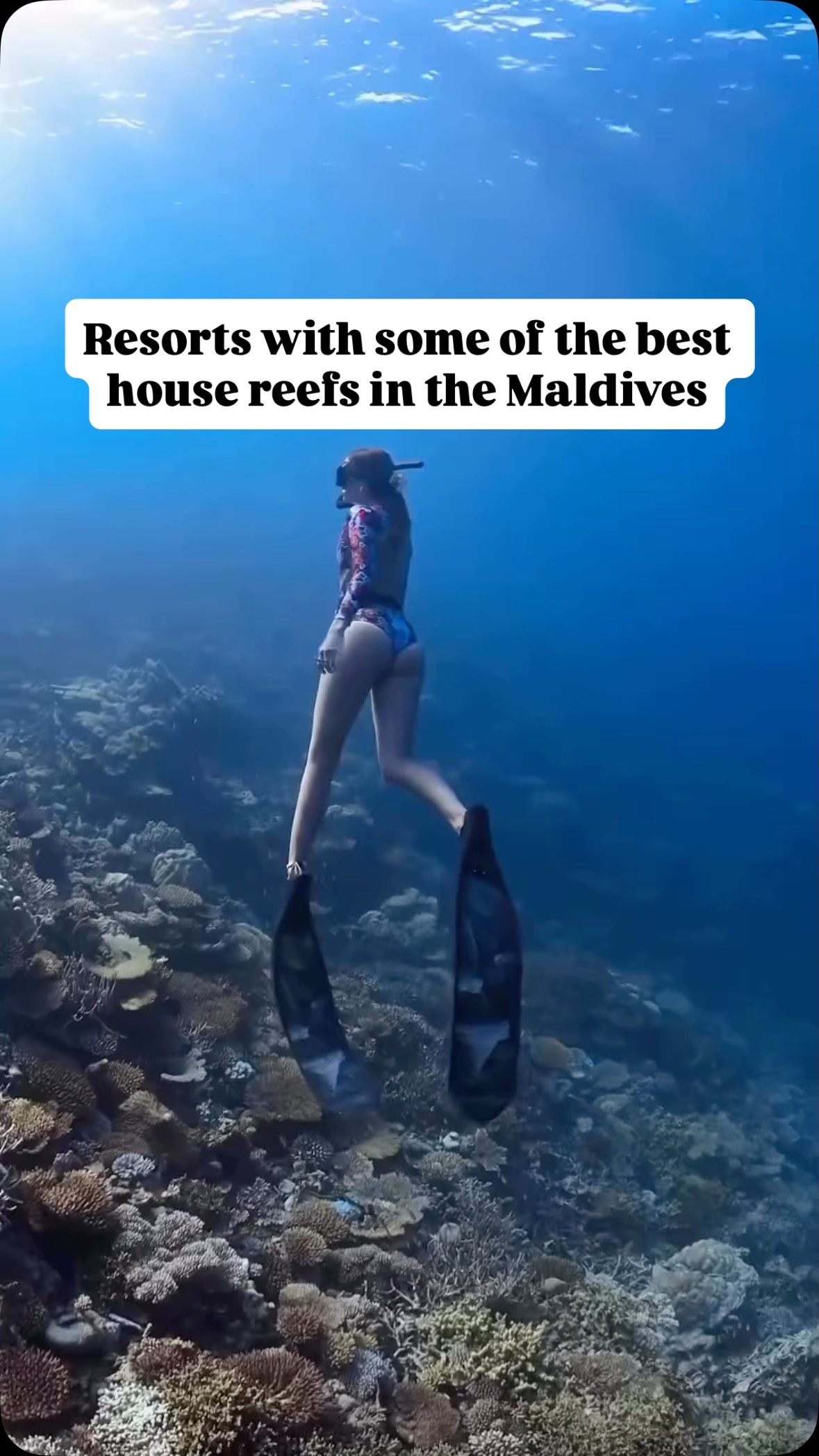 For all snorkeling lovers, here are some of the Maldives resorts where you can find a beautiful house reef without the need of taking a boat right:
🪸 @parkhyattmaldiveshadahaa
🪸 @ayadamaldivesresort
🪸 @vilamendhoo
🪸 @barosmaldives
🪸 @anantarakihavah
🪸 @nhcollectionmaldiveshavodda
🪸 @dusitthanimv
🪸 @veligandumaldives
🪸 @hideawaybeachmaldives
🪸 @lilybeachresortmaldives
Which one is your favorite?! Or which one would you add?
#uniquegetaways #snorkeling #housereef #underwaterworld #maldives