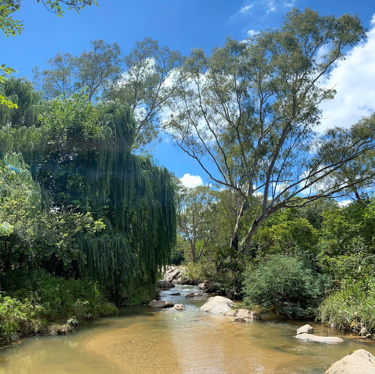 Happy 2021 🥳 It’s a beautiful day down at the river.
#thekleinjukskeiriver #rivergladesestate