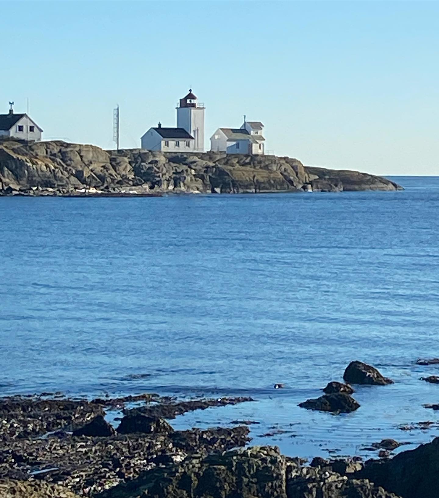 Vakker vinterdag i Geoparken ☀️ Frister det med et bad?
#unescoglobalgeopark #geopark #visittelemark #visitgrenland #langesund #langøytangenfyr #kyst #coast #lighthouse #winter #norway #watercolour