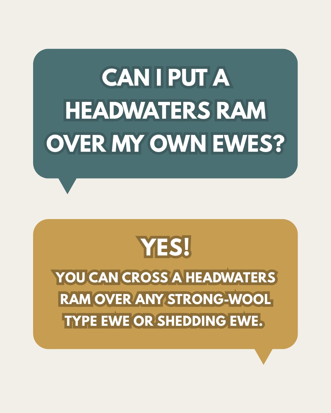 FAQ time 👉🏼
We get asked these questions all the time… so let’s set the record straight 🤗