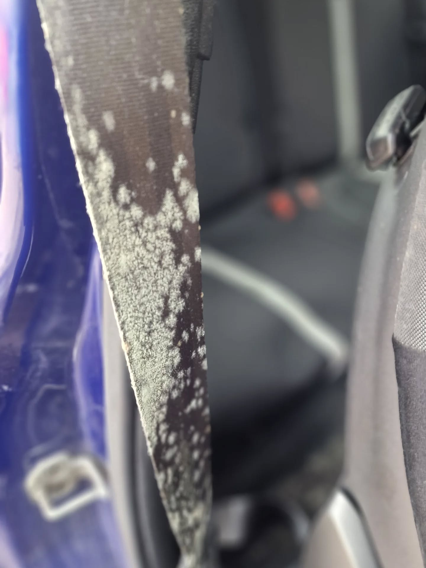 The Fiat Abarth 595 was parked for a few months because of some engine work, but unfortunately it got moldy! The inside was cleaned thoroughly to make sure it's safe and clean for whoever sits in it, and then we got rid of the odor. The outside got the same treatment to make sure the car is fresh for the owner to fully enjoy. š
Maintenance is key š
Keep your ride shining year-round with our Maintenance Scheme ā perfect after any of our premium cleans. Stay booked every 4ā6 weeks to retain value and avoid end-of-lease charges.
⨠Professional Mobile Valeting & Detailing Specialists
š +44 7734 374012
š§ info@rideeffect.co.uk