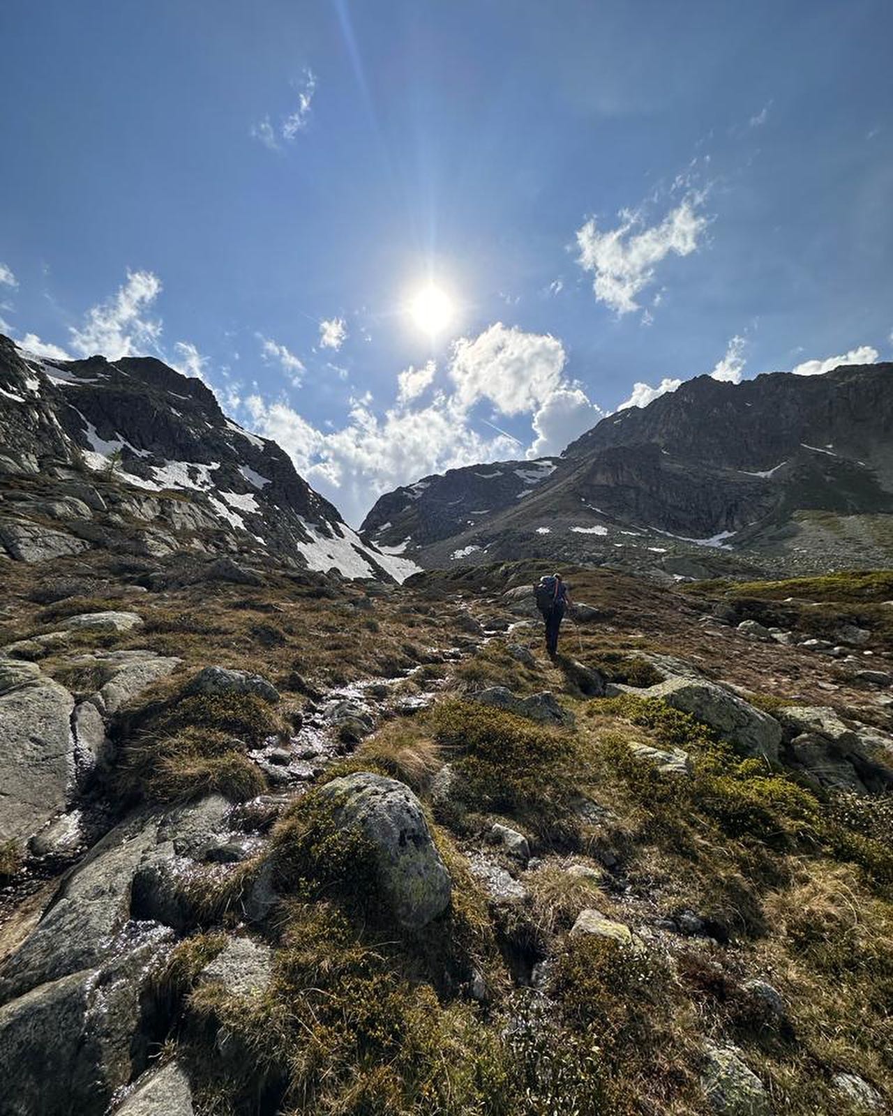 Pour le solstice d’été, quelques images de ce magnifique *PRINTEMPS* (1/2)
#nature #alps #accompagnatriceenmontagne #kulkatrek