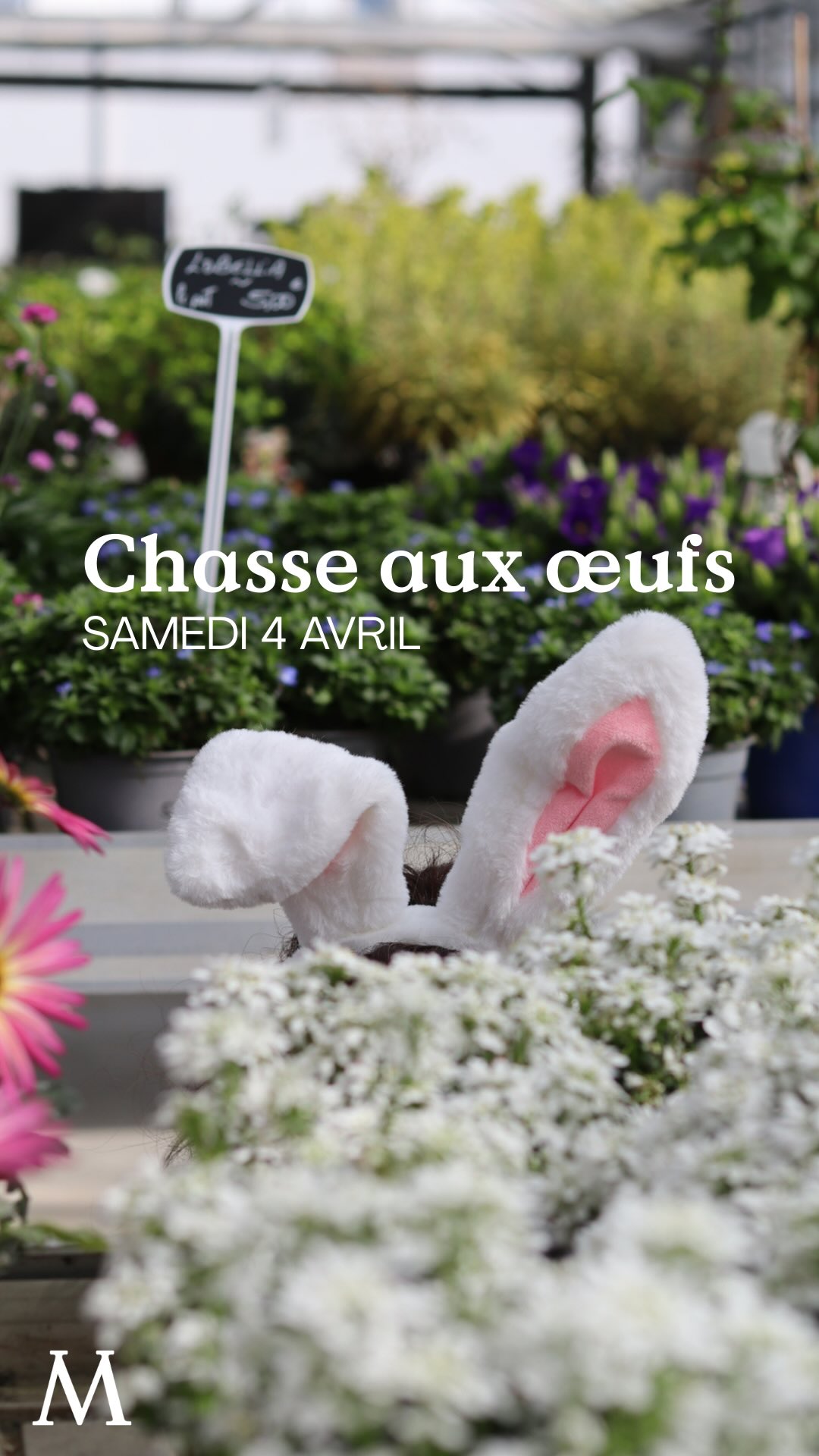 ‼️ COMPLET ‼️ Merci de votre compréhension.
Chasse aux œufs Mendi - GRATUIT 🐰🐣
Samedi 4 avril, elle revient… 💚
La chasse aux œufs de Mendi !
Destinée aux enfants de 3 à 12 ans, cette aventure les plonge au cœur des serres pour une chasse au trésor pas comme les autres 🌱🕵🏼
Munis de leur carte et de leurs énigmes, les petits explorateurs partiront à la recherche du trésor chocolaté* 🥚🍫
Une expérience ludique et pédagogique, comme on aime chez Mendi 💚
‼️ INSCRIPTIONS OBLIGATOIRES ‼️
📞Ouverture des inscriptions le MERCREDI 25 MARS à partir de 9h
👉🏼 par téléphone UNIQUEMENT au 05 59 03 80 40 ou au 06 58 30 92 11
👉🏼 Créneaux disponibles de 9h à 16h30
👉🏼 PLACES LIMITÉES
👨👩👦Accompagnement obligatoire d’un responsable légal
*En collaboration avec @maison_paries 🧡
🪴 Le jardin de tous
☎️ 05 59 03 73 52
📍15 rue de Louillot, Anglet