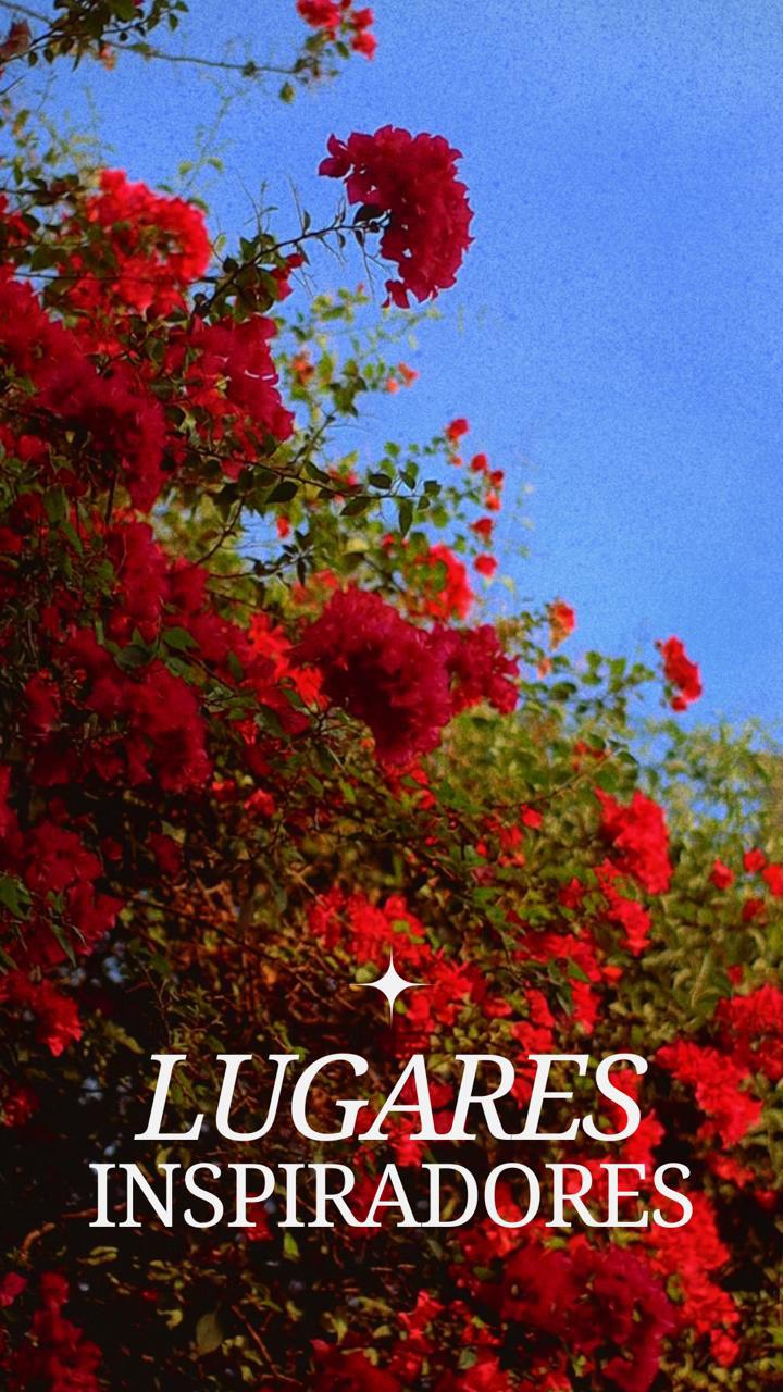 #LugaresInspiradores 💛
Getsemaní tiene algo que no se explica, se siente.
🏘️Entre colores, callejones y momentos simples, siempre encuentras una excusa para quedarte un rato más.
Es un lugar para dejarse sorprender
y reconectar con la ciudad desde otro lado ✨
Un shoutout especial a @ladeuthgallery, donde el arte se vive de cerca… gracias por abrirnos las puertas y dejarnos capturar un pedacito de su proceso 🎨🖤
Y ustedes, ¿Ya se han perdido por Getsemaní? ¿Qué rincón les gusta más? 💛
#cartagena #getsemani #artecartagena #lugaresinspiradores