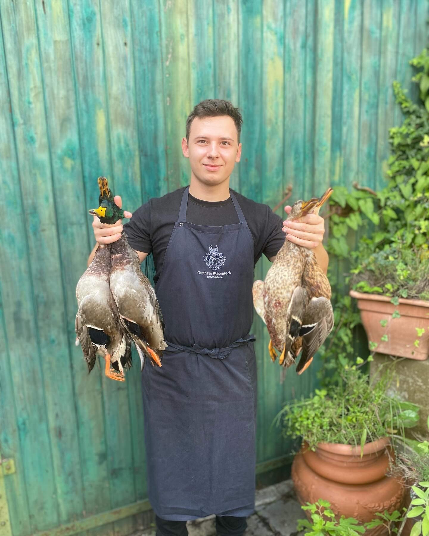 Die ersten Bacherner Wildenten !!
#dassindwir #einfachgut #regional #heimischeswild #regionaleküche #wildenten #goldeneroktober #jagdinbayern #kirchweih