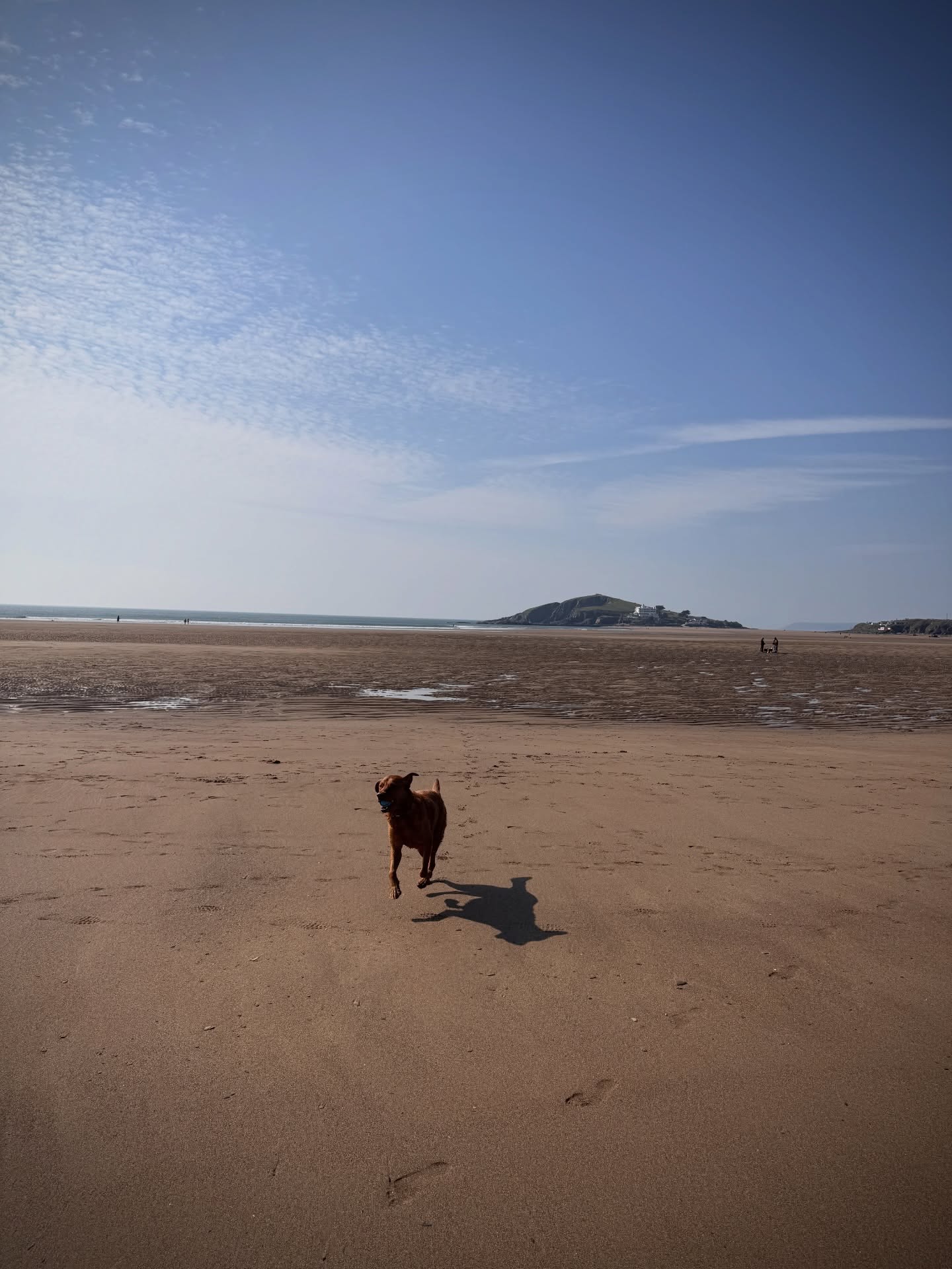 No doggos today so me and Monty hit the beach ☀️