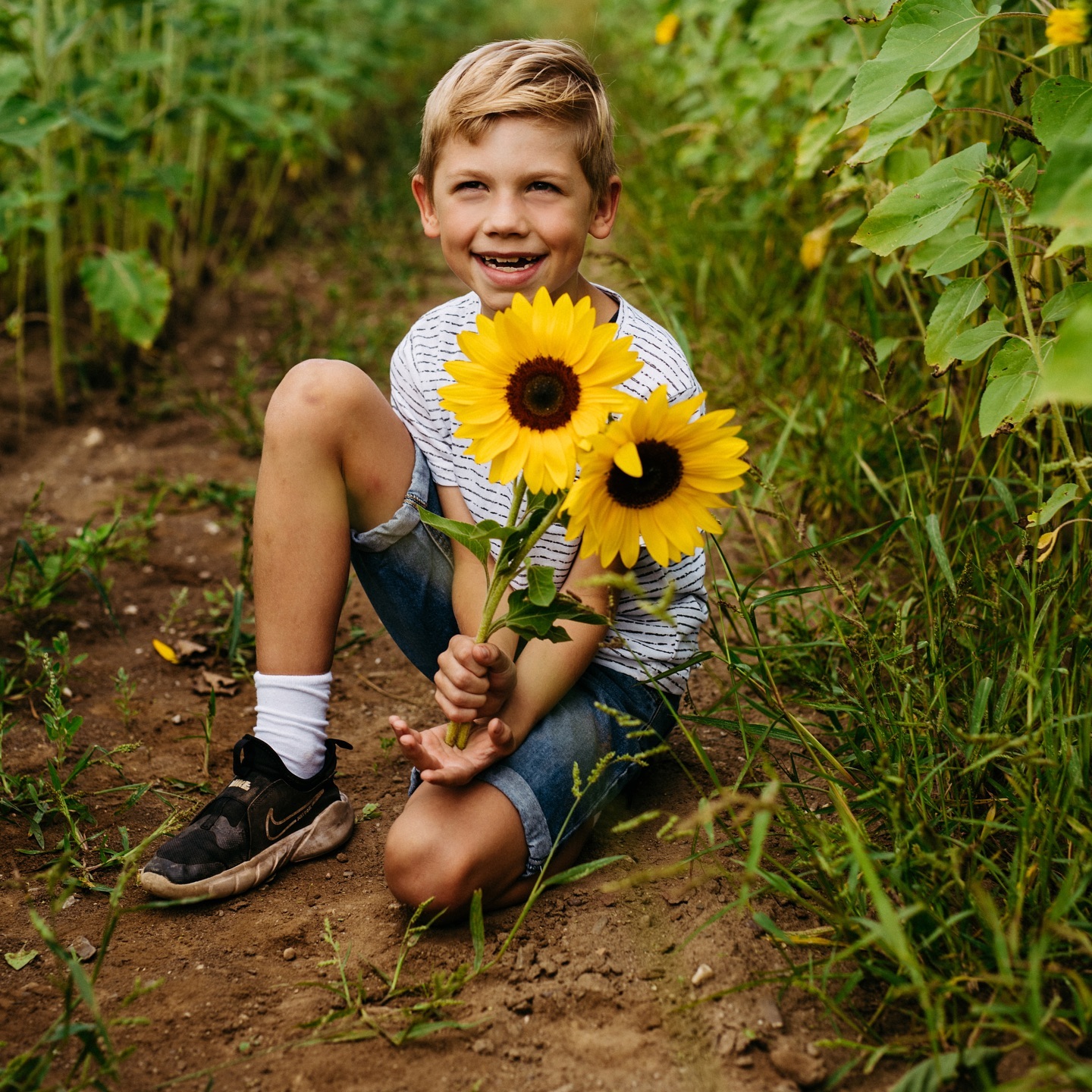 #sunflowershooting #sunflowerfield #sonnenblumenfeld