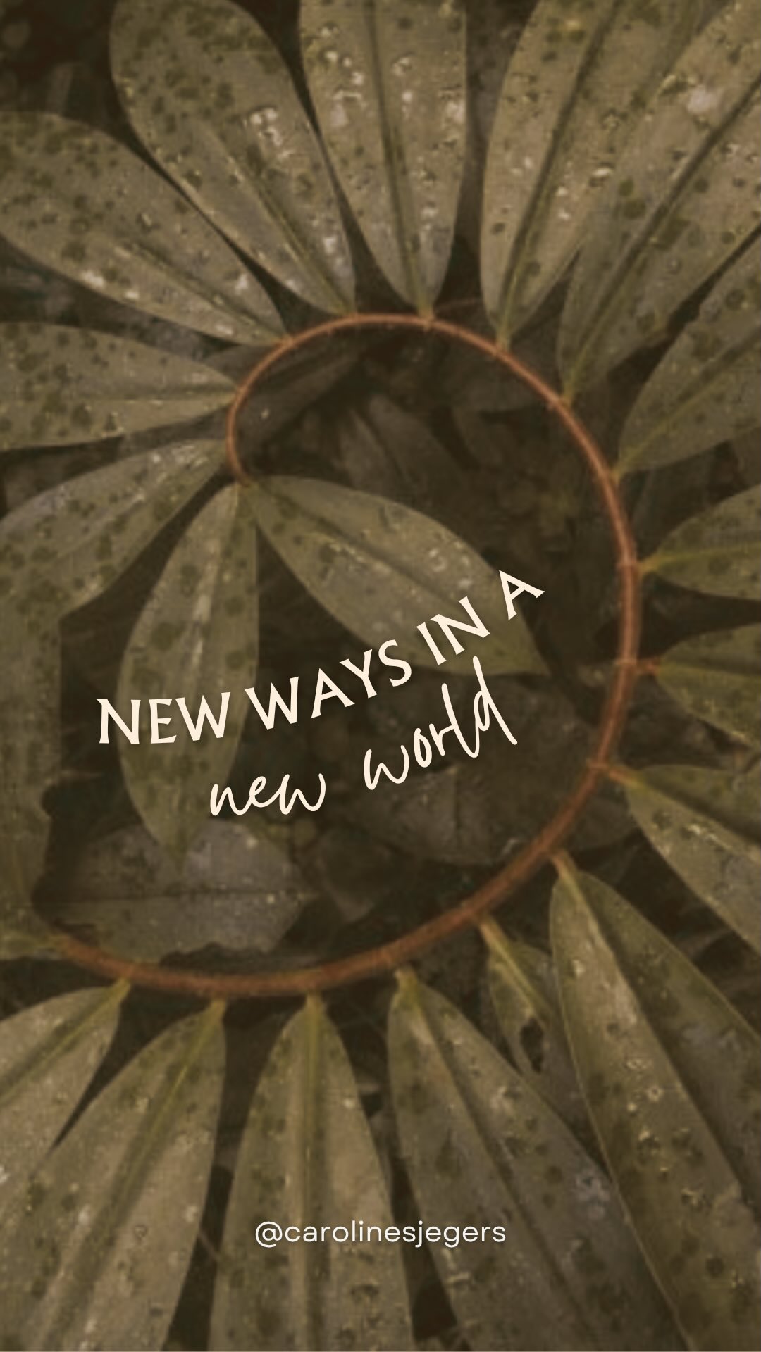 Exciting news! This Sunday I’ll be speaking and sharing at the Quantum Seminar organized by @judith_lamboo around the theme of “New Ways in a New World” (Hnita Jazz Club, Heist-op-den-Berg, Belgium). Oh and I am taking about composting in the beginning of this reel (it got cut out). Bring a friend and come together at 50% with coupon code ‘Licht22’. The other seminars will be in Dutch, my poetry is in English. You’re warmly welcome.
#quantumseminar #keynotespeaker #poetryinmotion