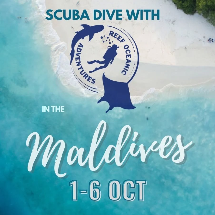 Divers and Non-divers are welcome
to join us in The Maldives for a full and semi scuba diving trip!
.
Get your #Padi certification, do fun dives, go snorkeling, explore the local islands and much more!
.
#ScubaDiving #ScubaDiver #ScubaDiversLife #ScubaDivingInIndia #ScubaDivingInMaldives #Maldives #MaldivesVacation #Paditv #PadiTravel #ThingsToDo #BucketList