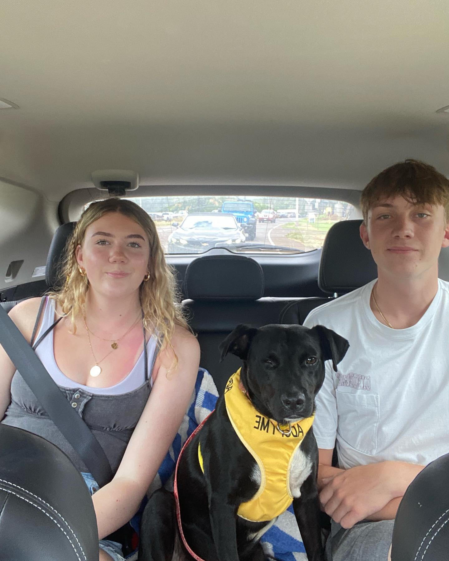 Met a local at Kauai Humane Society who showed us around on this rainy day. Bullet was a laid back guy, up for a walk or just hanging out watching the world go by, the perfect companion and tour guide. Much love to KHS for their Field Trip with a Shelter Dog program!